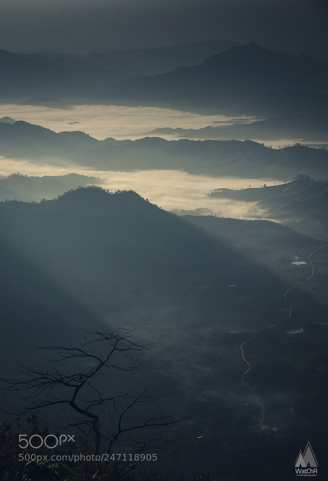 Nikon D810 sample photo. Ray of light photography