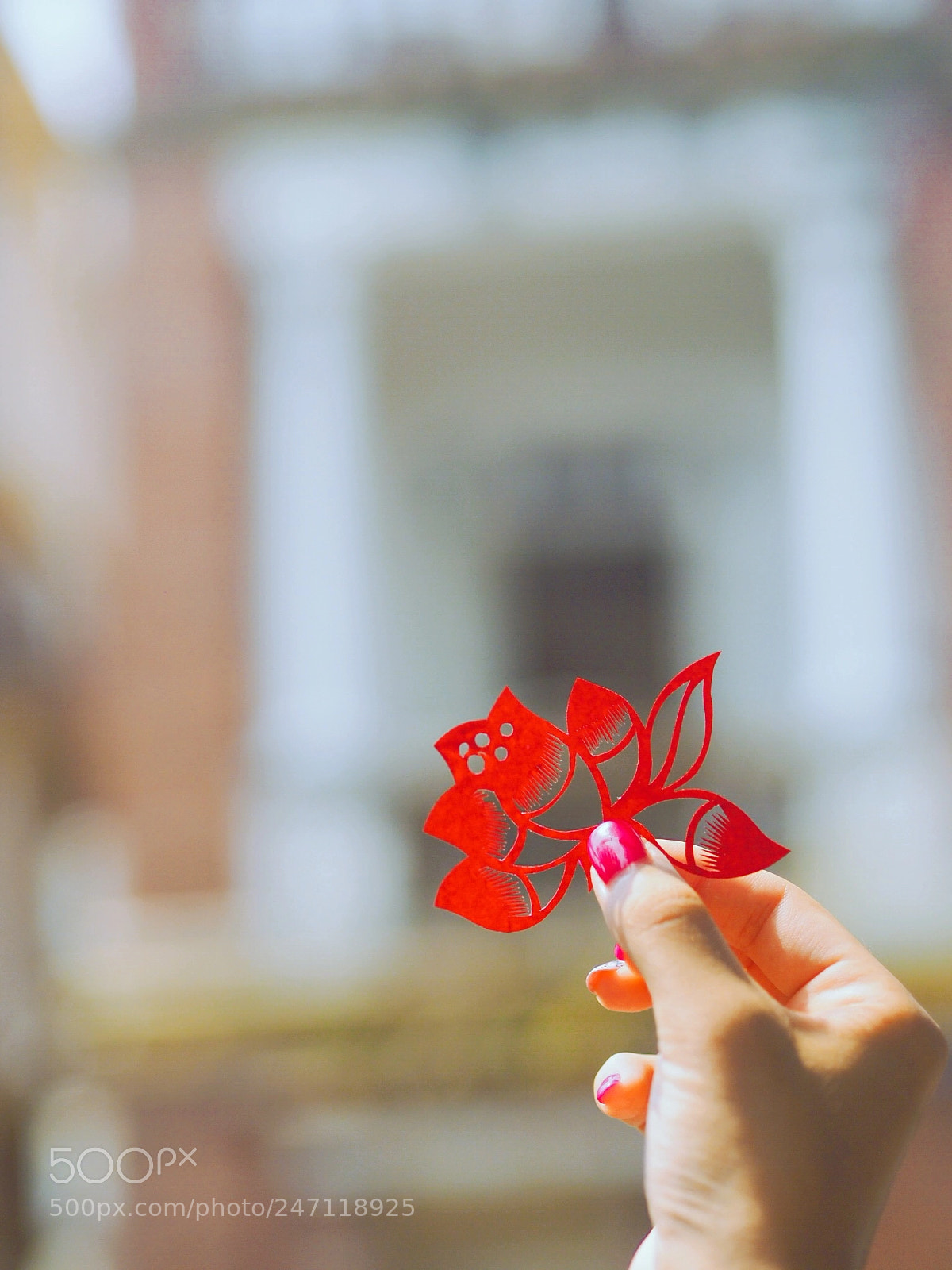 Olympus OM-D E-M5 II sample photo. Paper-cut photography
