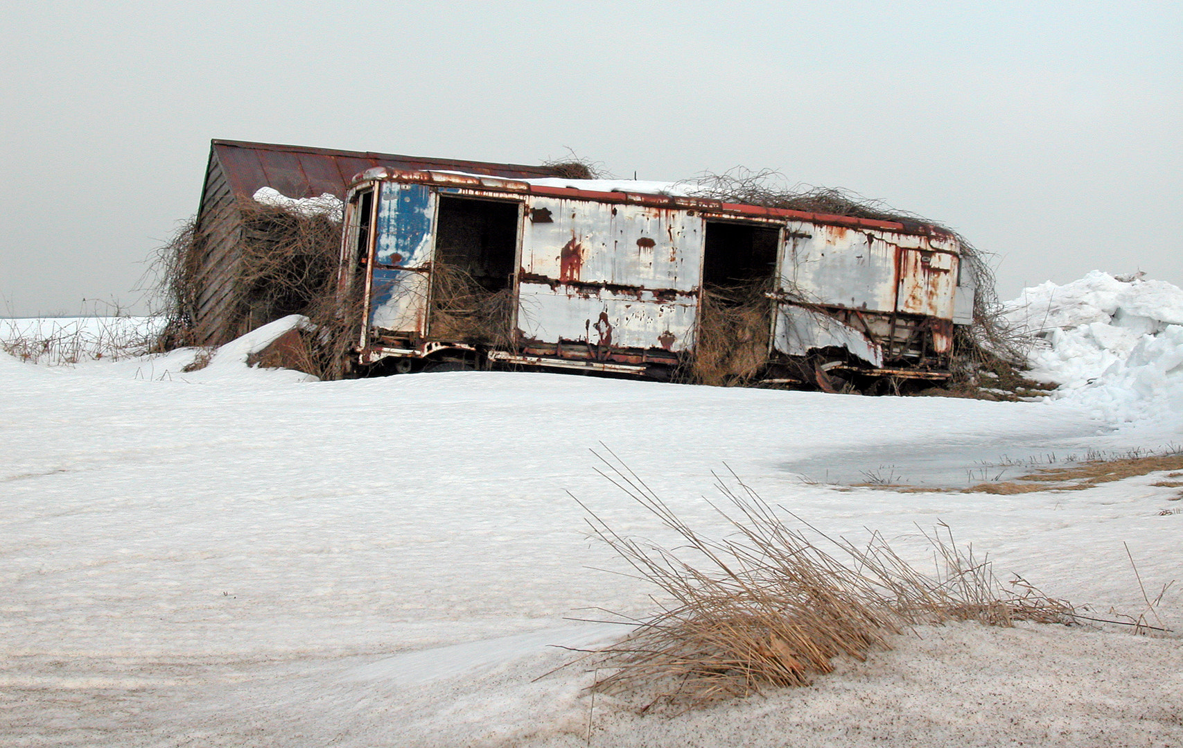 Nikon E5000 sample photo. Winter, amsterdam ny photography