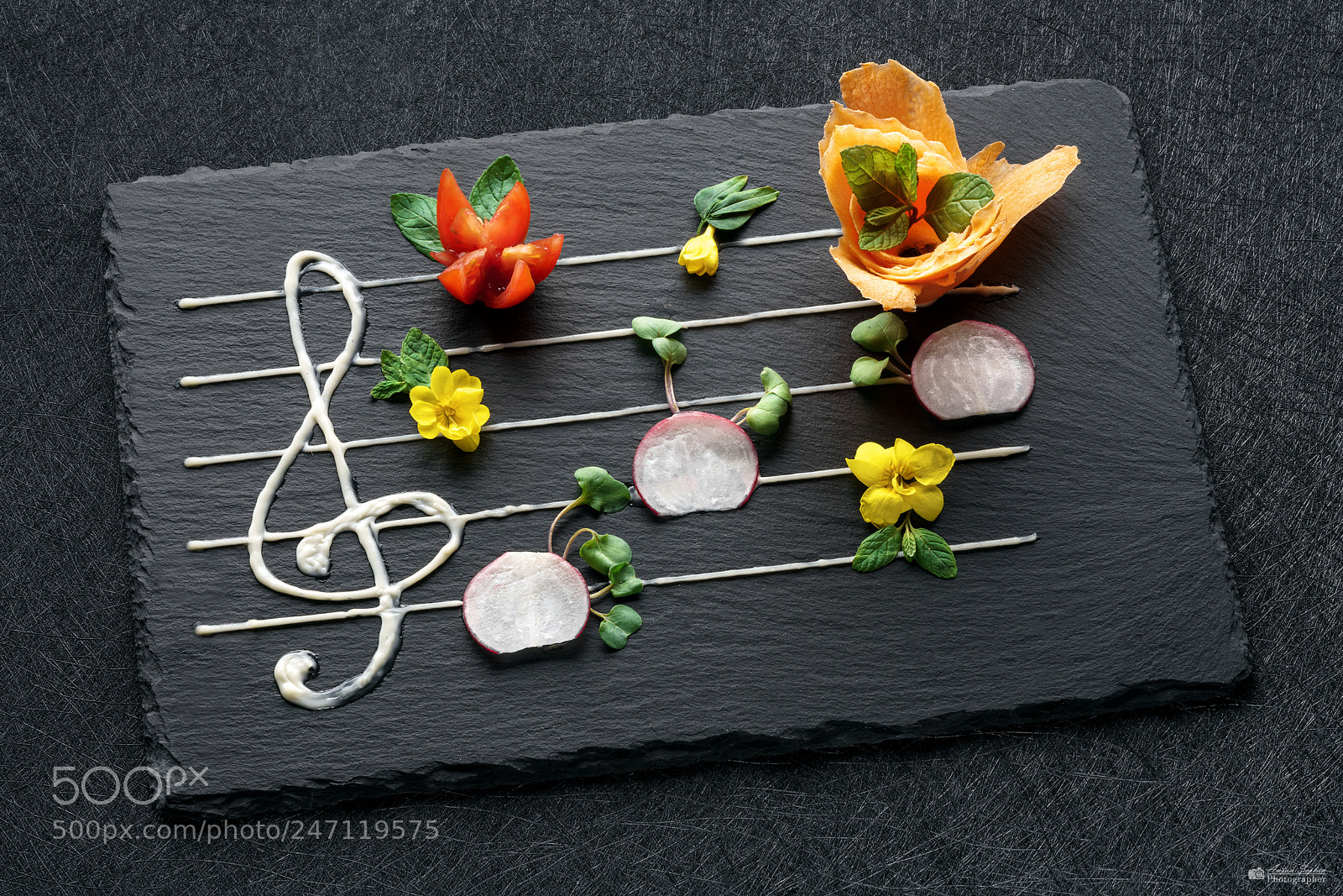 Sony a7R II sample photo. Musical vegetables photography