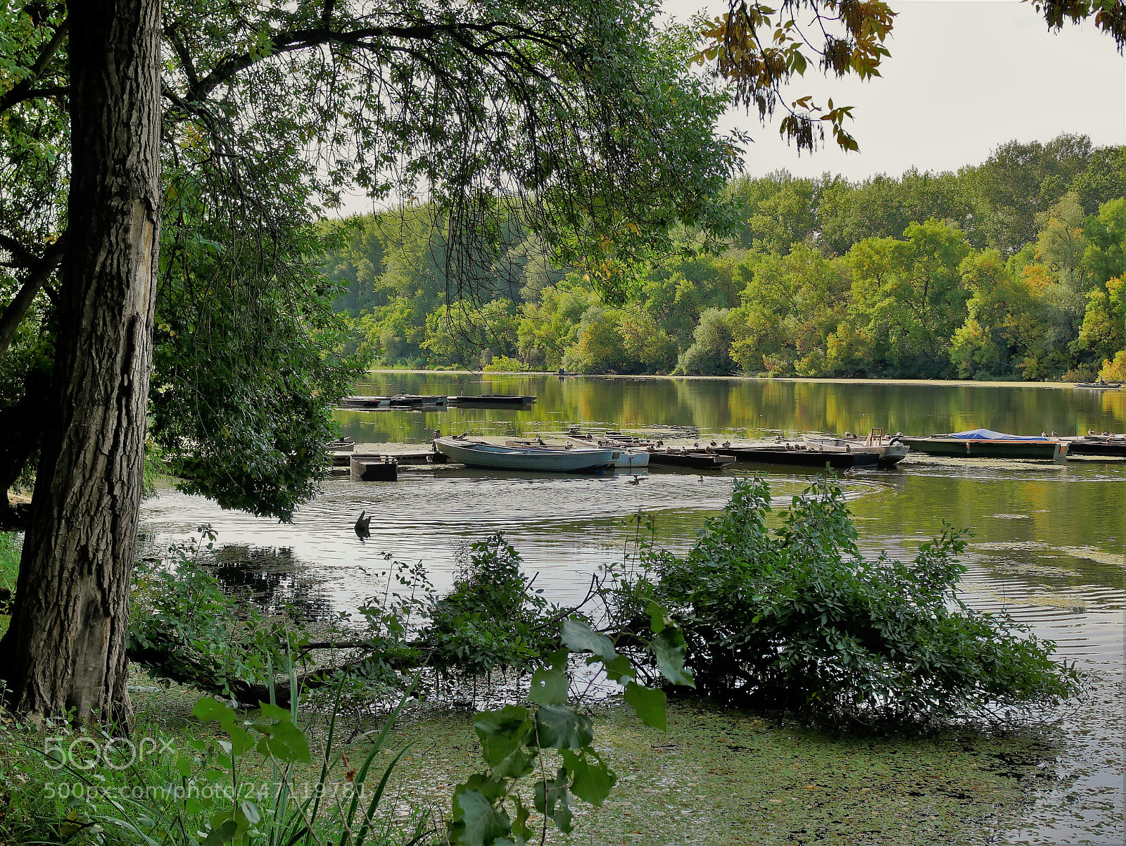Panasonic Lumix DMC-GX85 (Lumix DMC-GX80 / Lumix DMC-GX7 Mark II) sample photo. Landscape in shades of photography