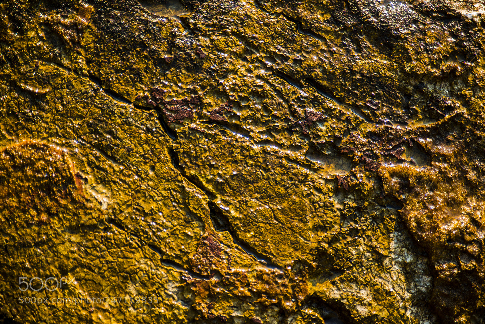 Nikon D800 sample photo. Hard rock - samos photography