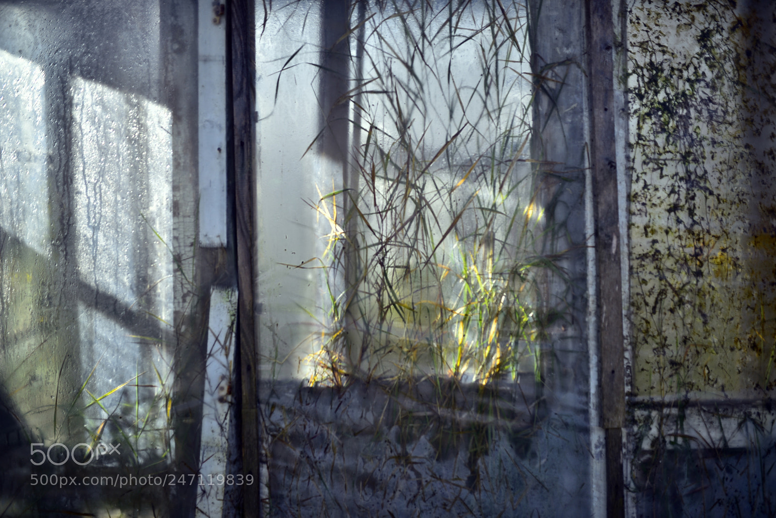 Nikon D750 + Sigma 35mm F1.4 DG HSM Art sample photo. Dsc photography