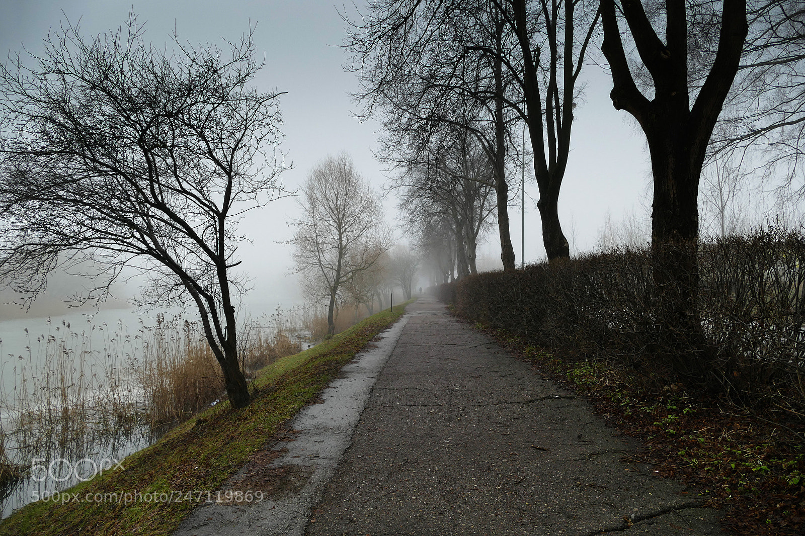 Panasonic Lumix DMC-FZ1000 sample photo. Fog over the lake photography