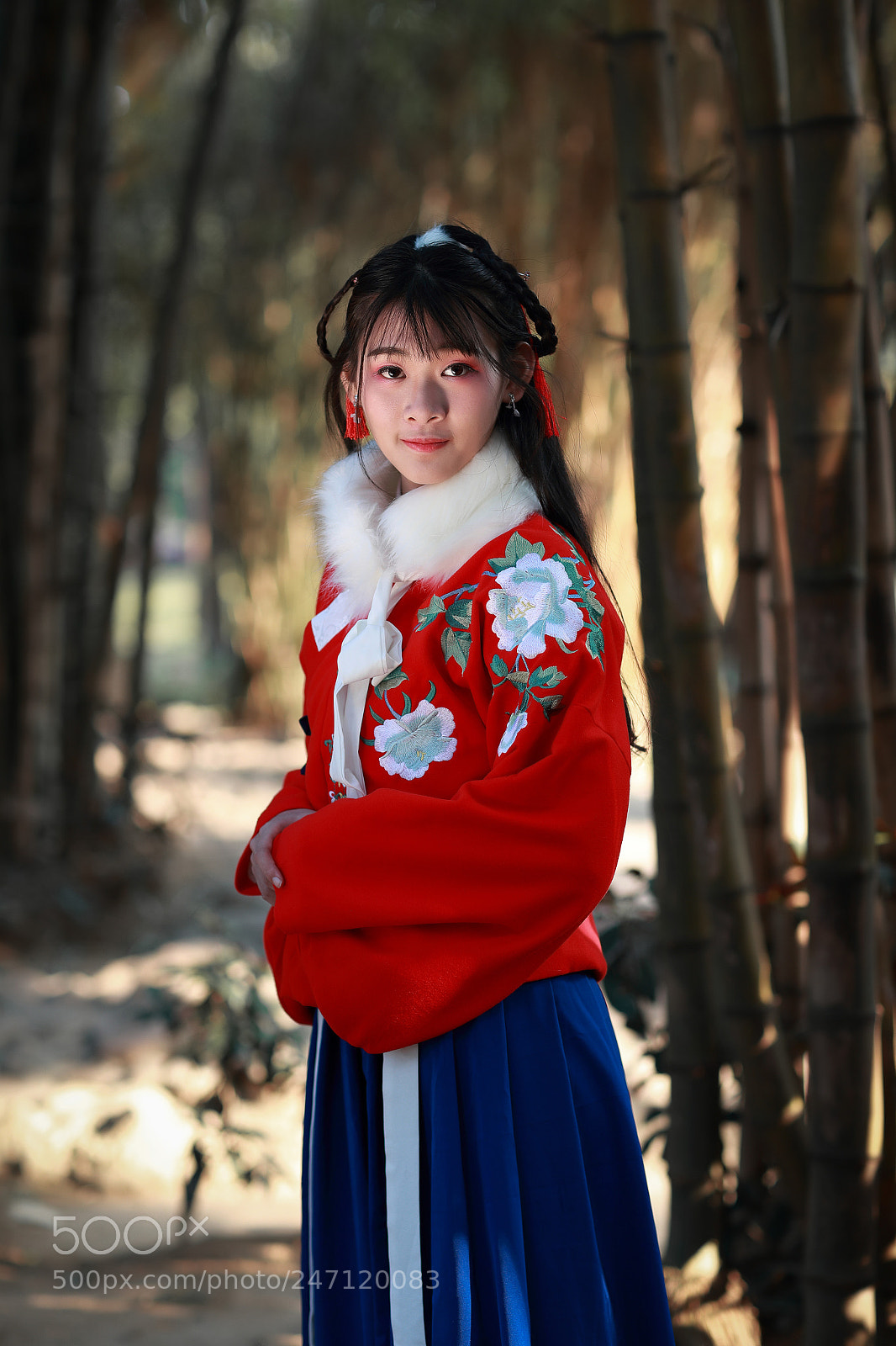 Canon EOS-1D X Mark II sample photo. 汉服 photography
