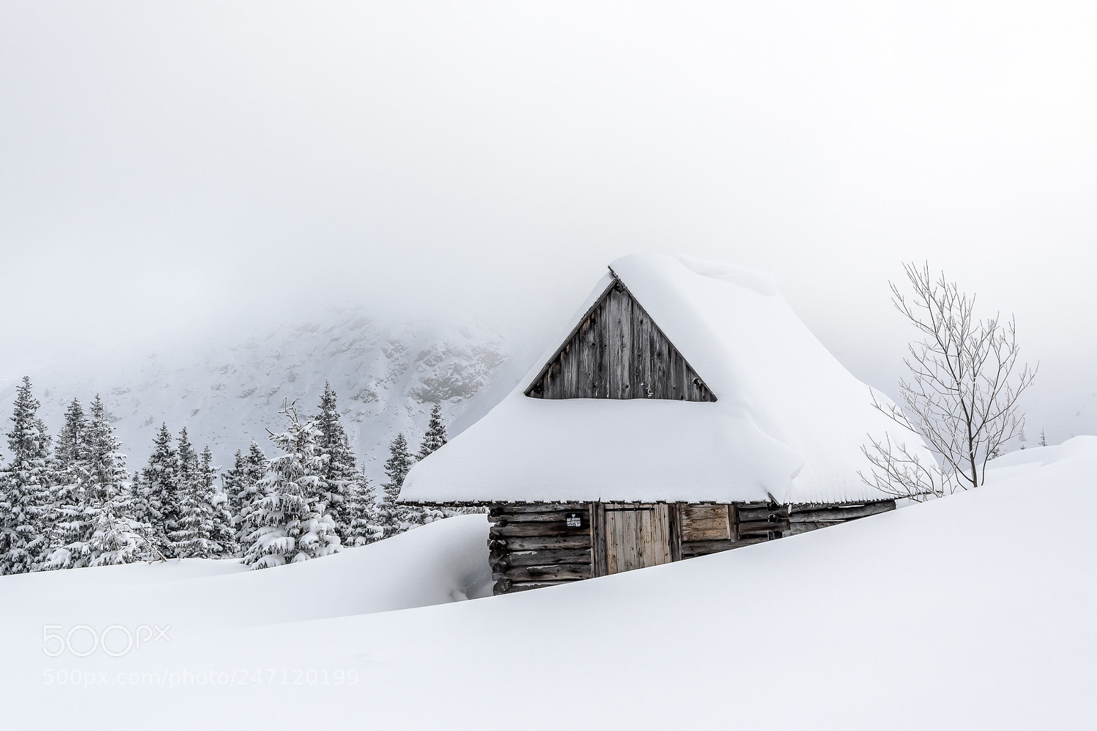 Nikon D5300 sample photo. Winter in dolina gasienicowa photography