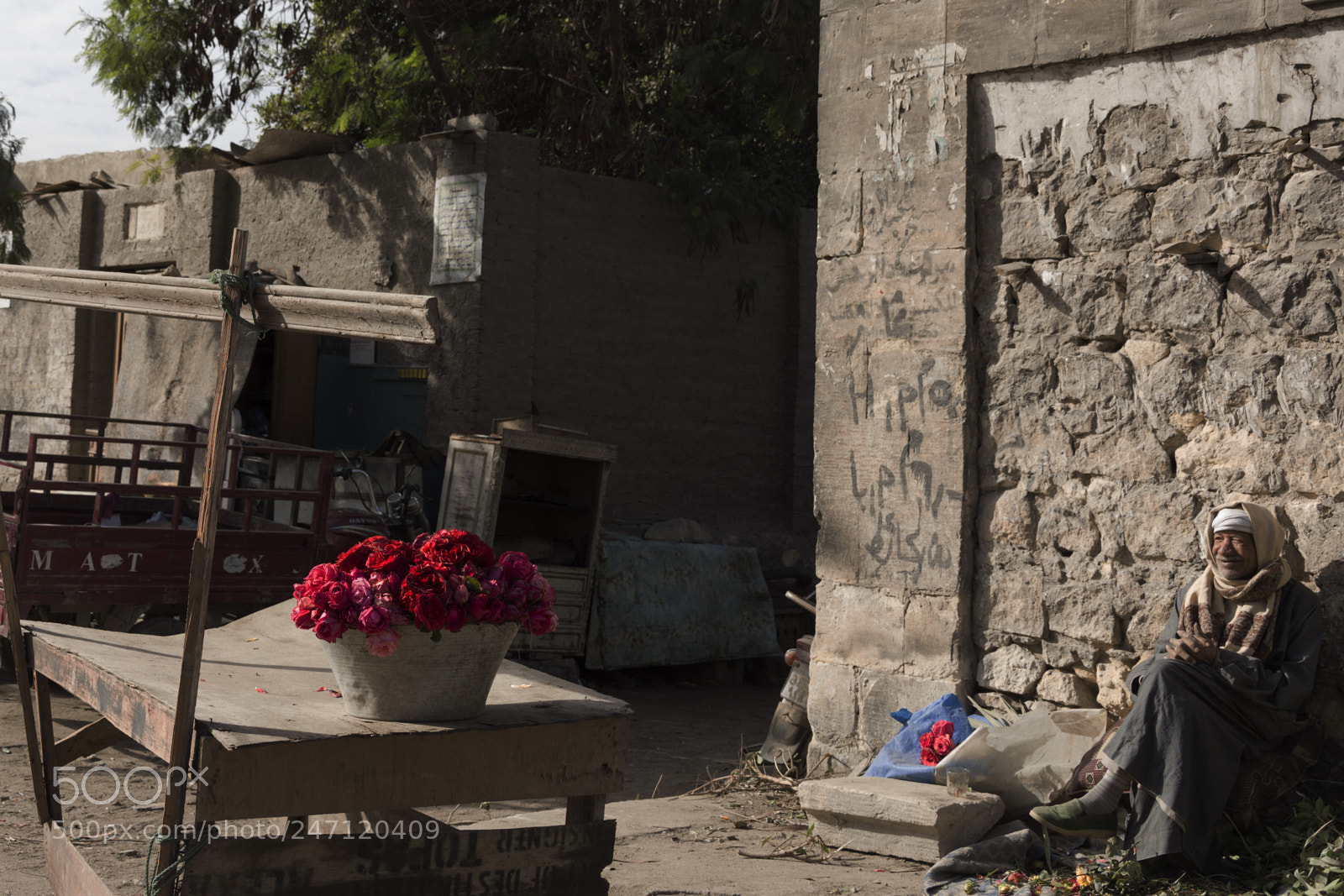Nikon D7200 sample photo. Boutons de fleurs photography