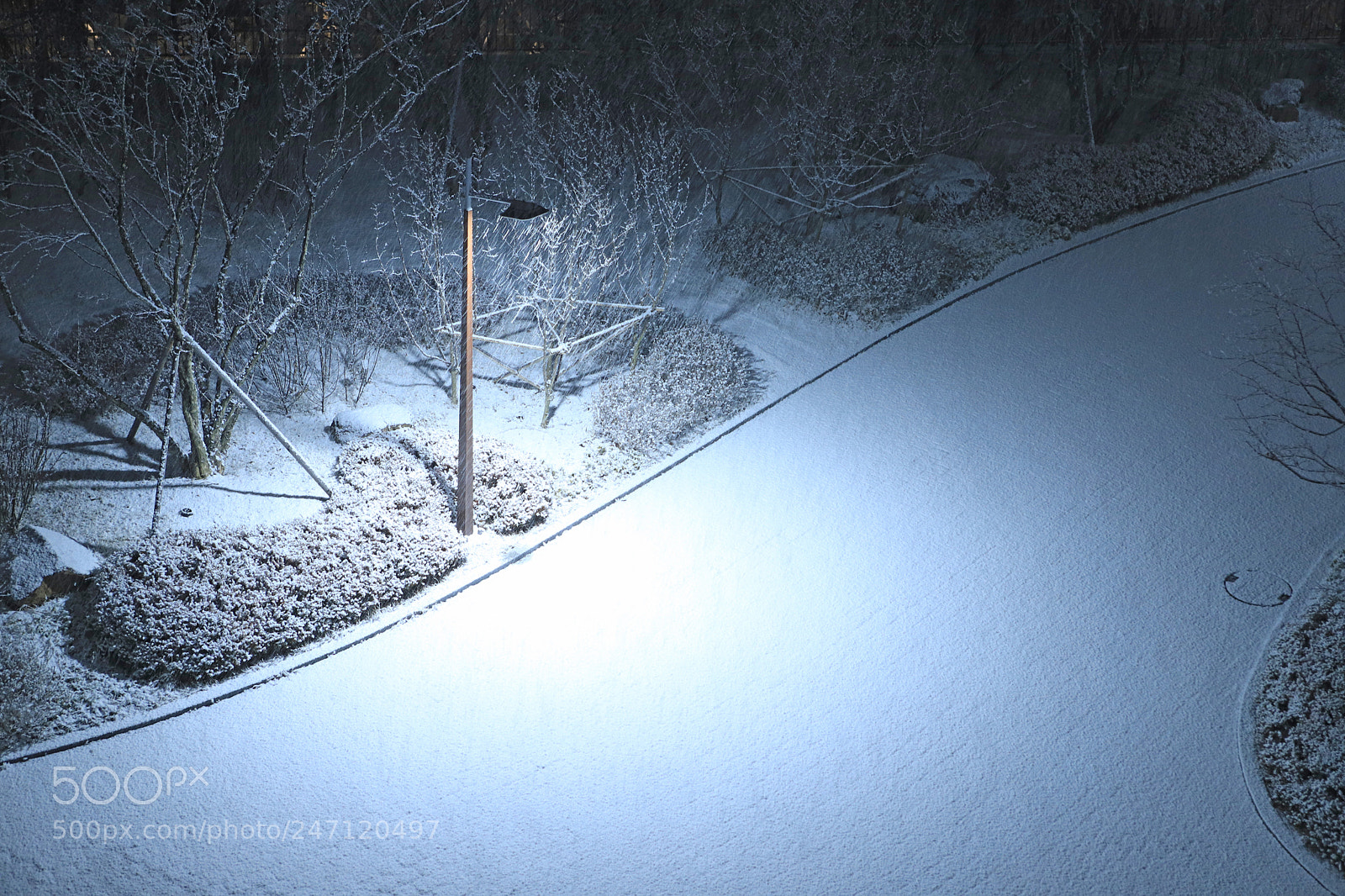 Canon EOS 6D Mark II sample photo. Snowy night photography