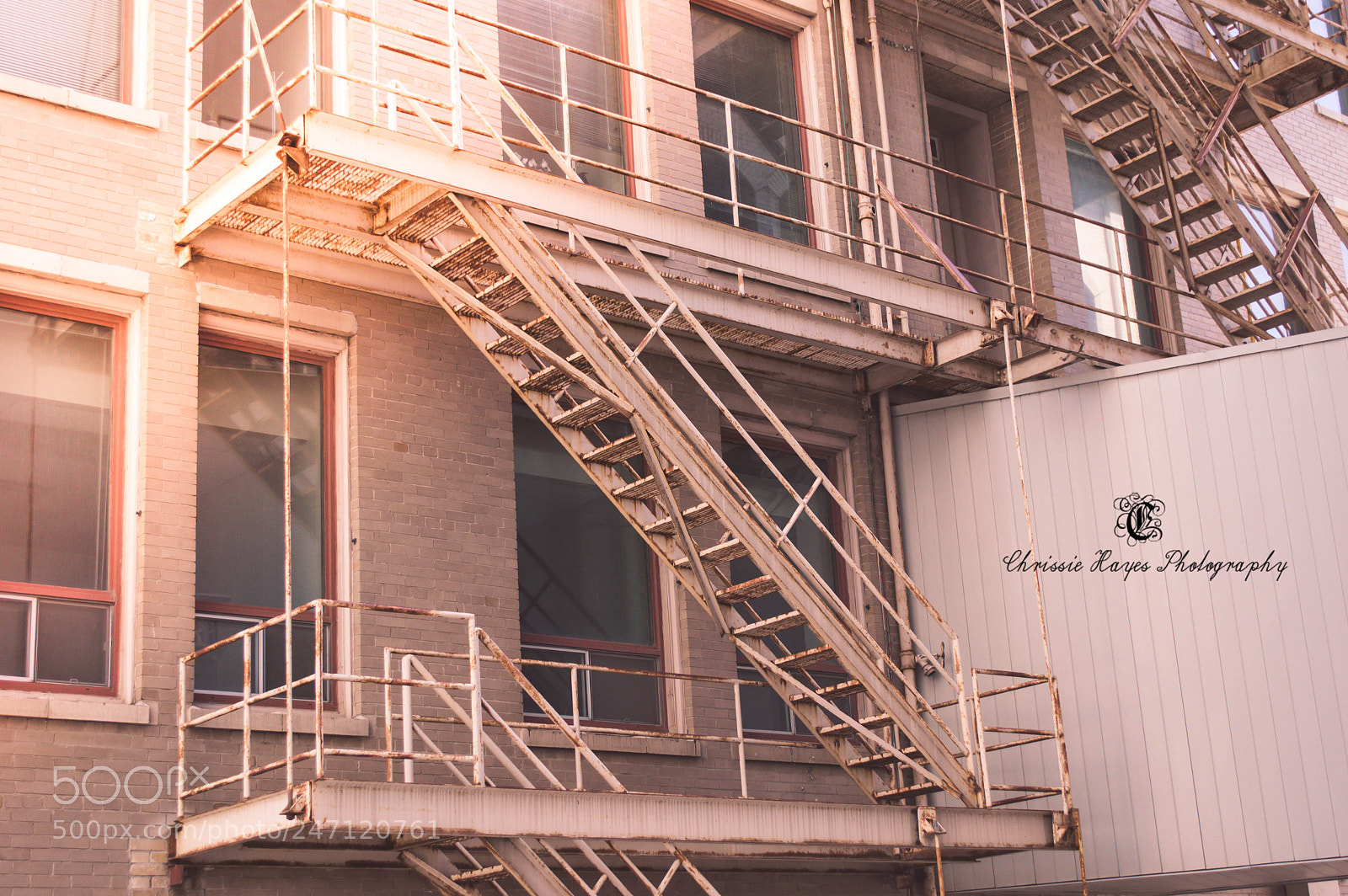 Nikon D3200 sample photo. 3.jpg photography
