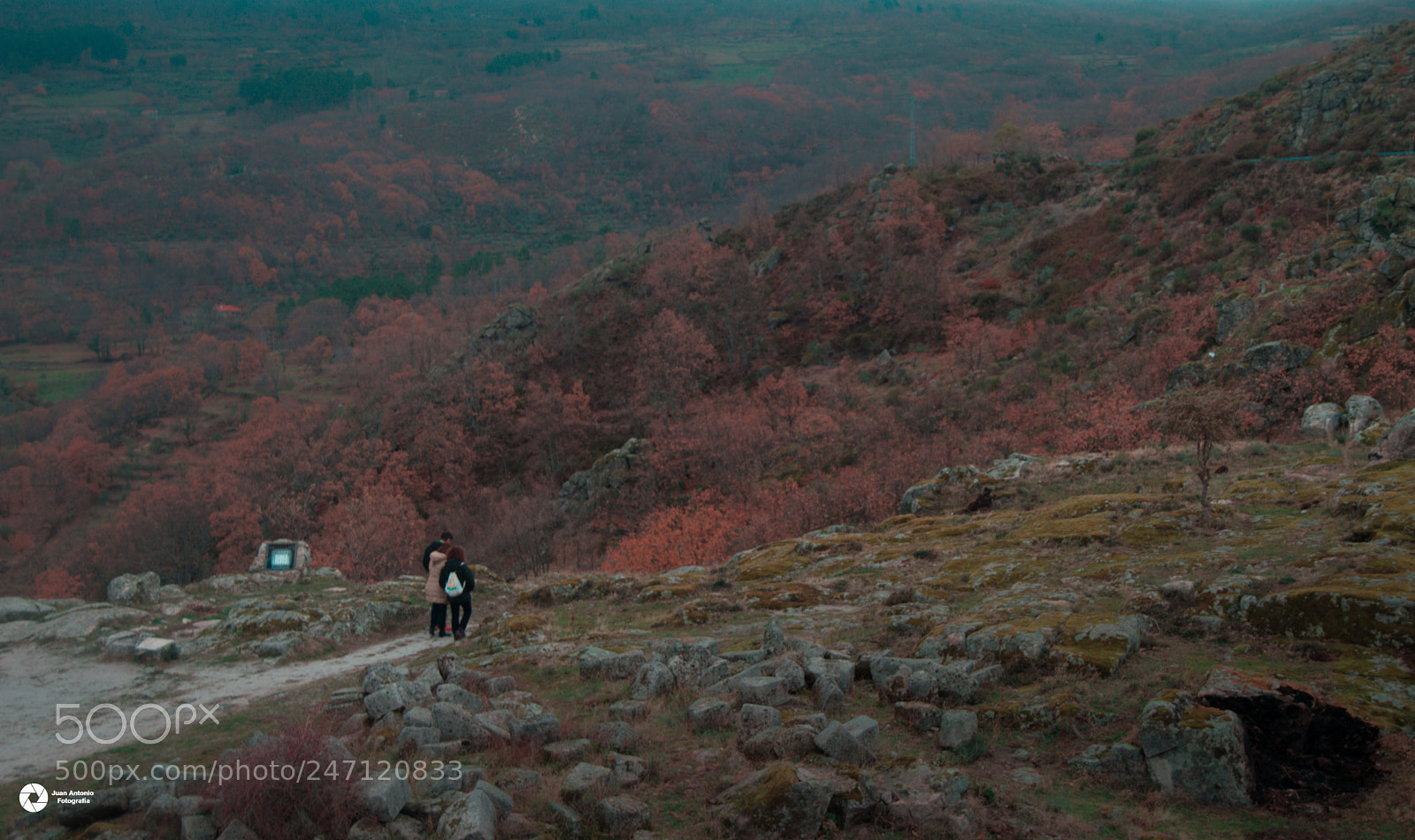 Nikon D3200 sample photo. Walk photography