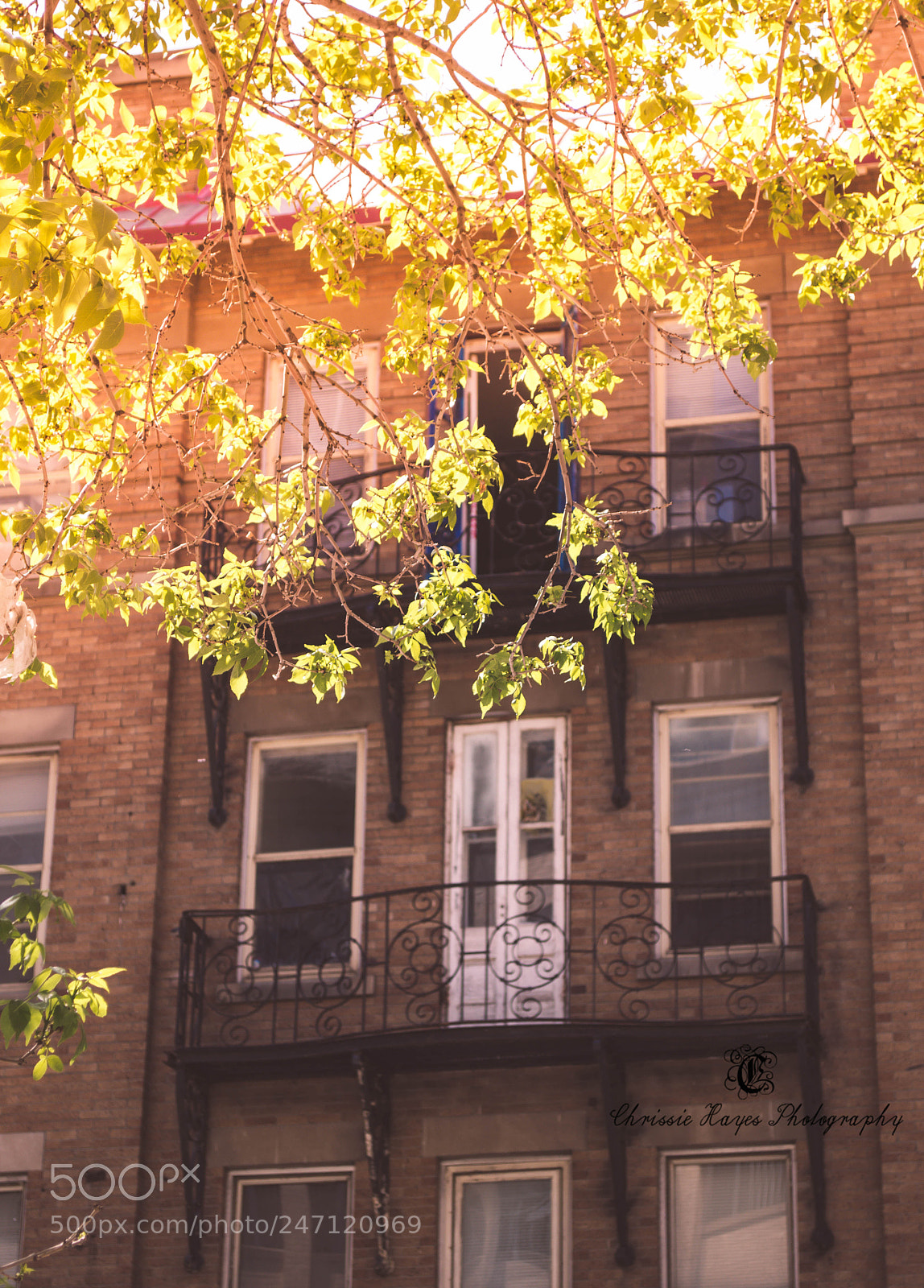 Nikon D3200 sample photo. 4.jpg photography