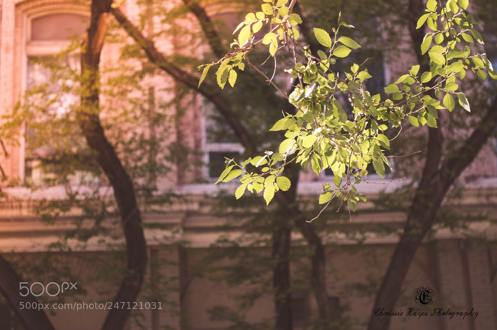 Nikon D3200 sample photo. 7.jpg photography