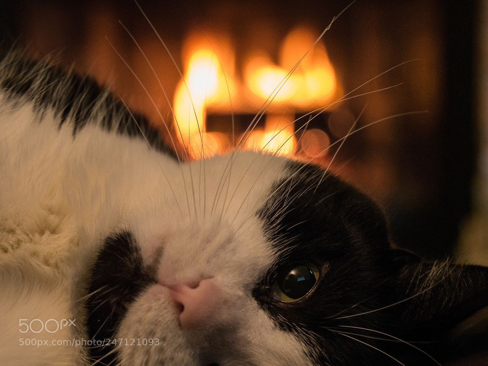 Panasonic Lumix DMC-G85 (Lumix DMC-G80) sample photo. Cozy fire photography