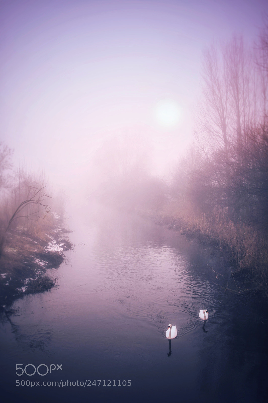 Canon EOS 750D (EOS Rebel T6i / EOS Kiss X8i) sample photo. Ethereal mood photography