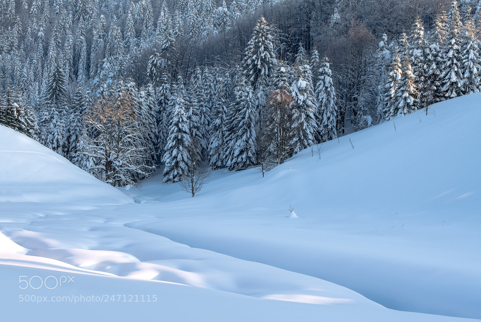 Nikon D810 sample photo. Usjek - ravna gora photography
