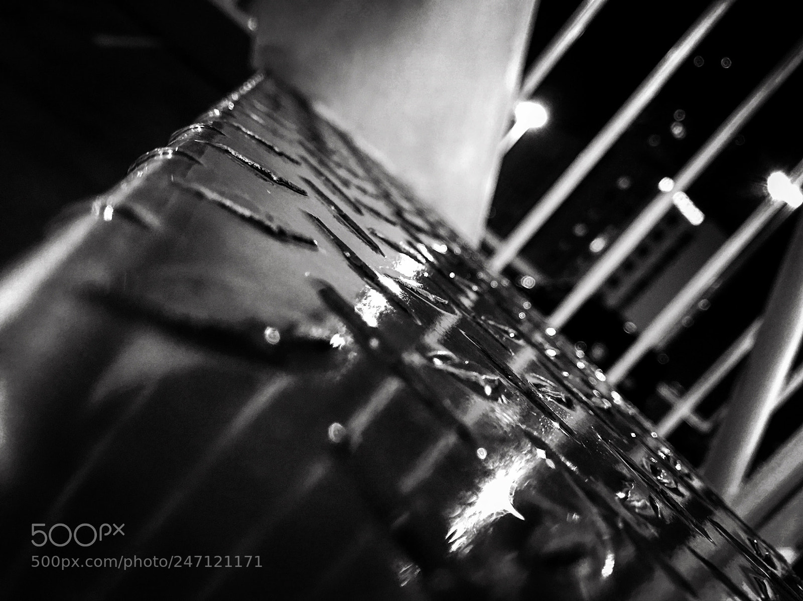 Apple iPhone 7 sample photo. I took this photo photography