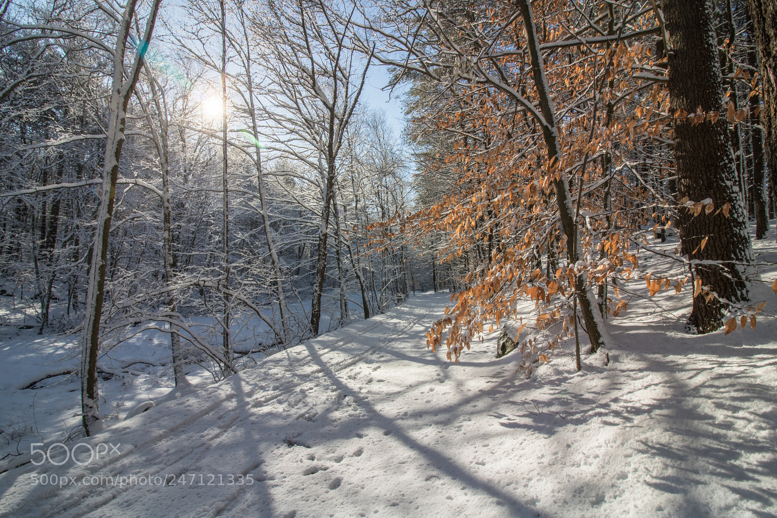 Canon EOS 750D (EOS Rebel T6i / EOS Kiss X8i) sample photo. Blue hills snow photography