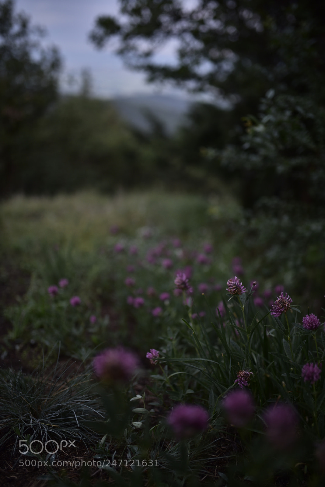 Sigma 35mm F1.4 DG HSM Art sample photo. Dsc photography