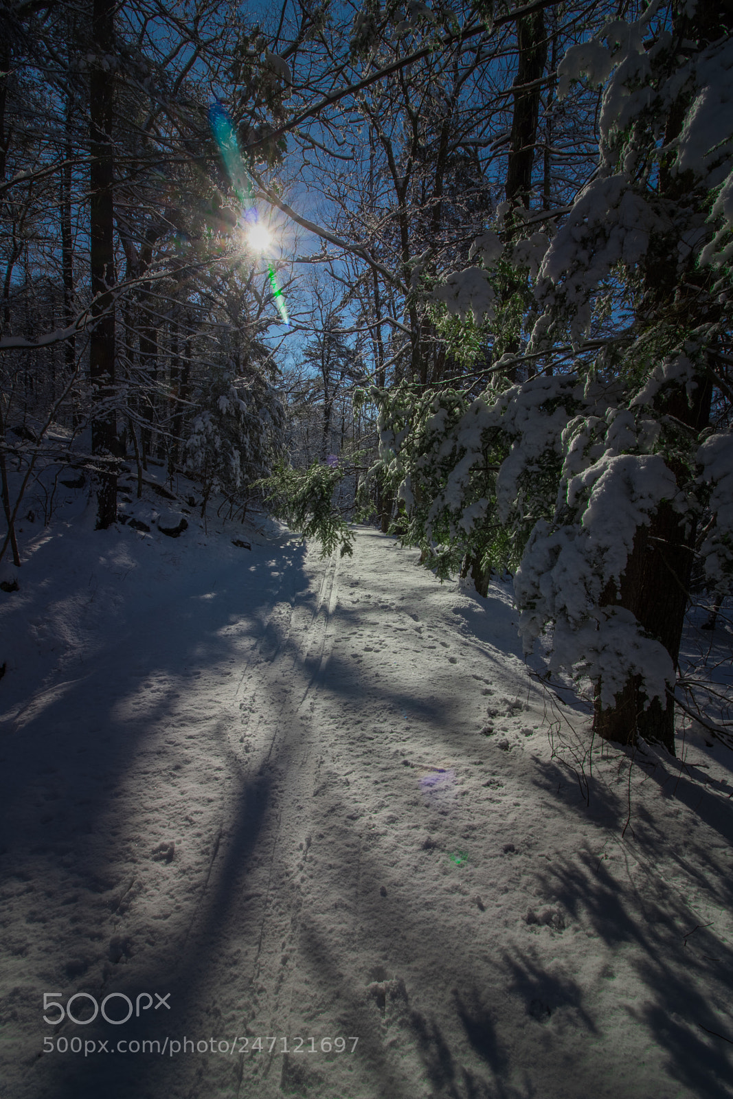 Canon EOS 750D (EOS Rebel T6i / EOS Kiss X8i) sample photo. Snowy days photography