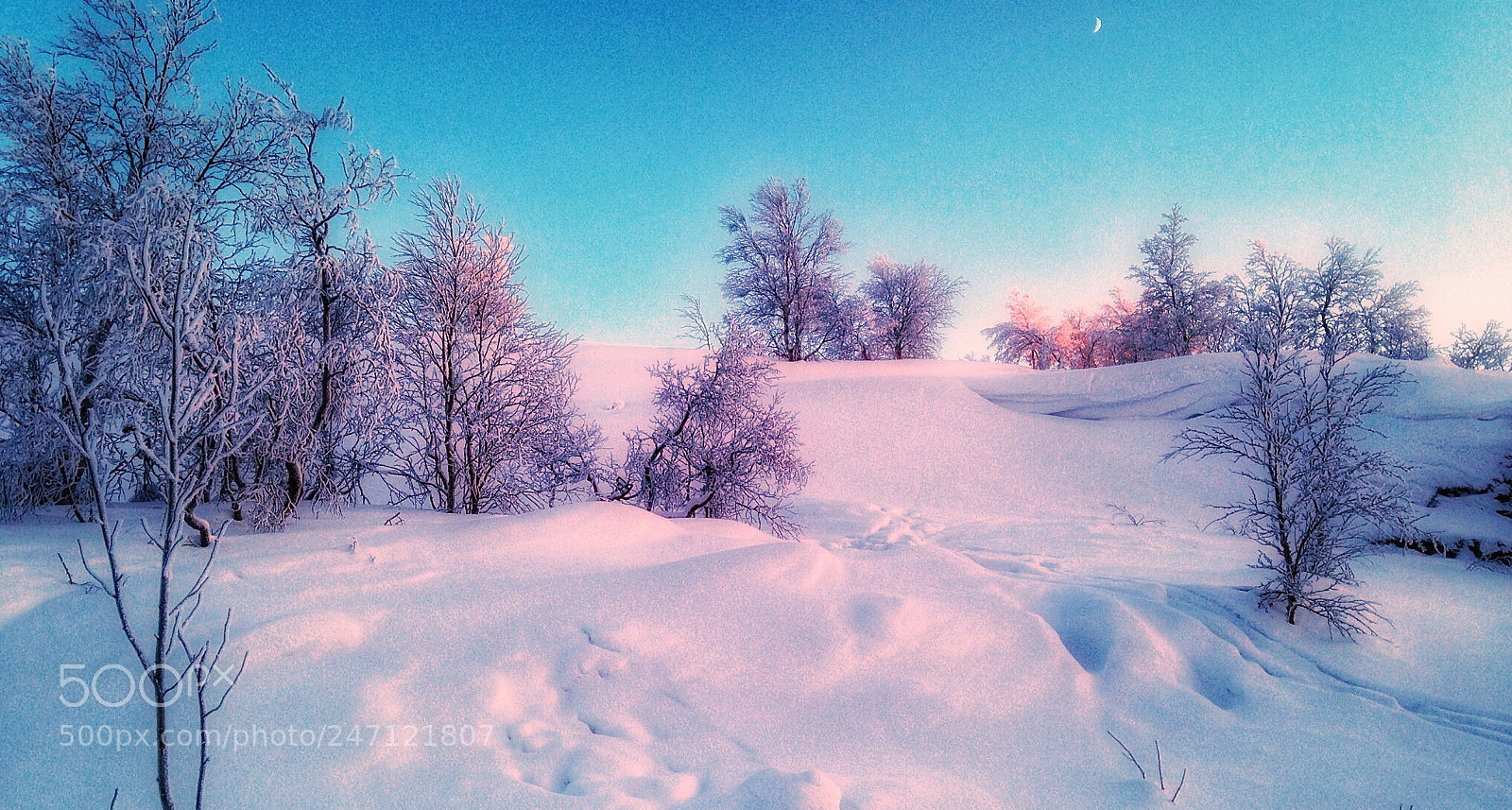 Apple iPhone 5c sample photo. Gentle paints of winter photography