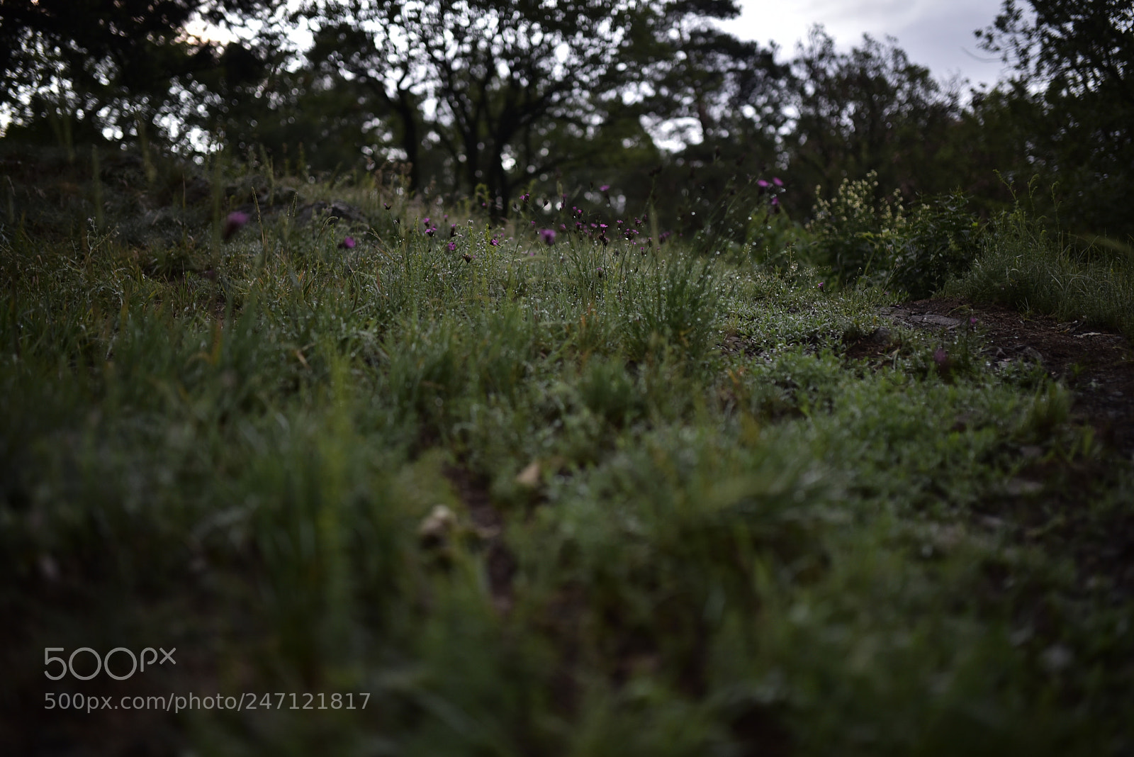 Nikon D750 + Sigma 35mm F1.4 DG HSM Art sample photo. Dsc photography