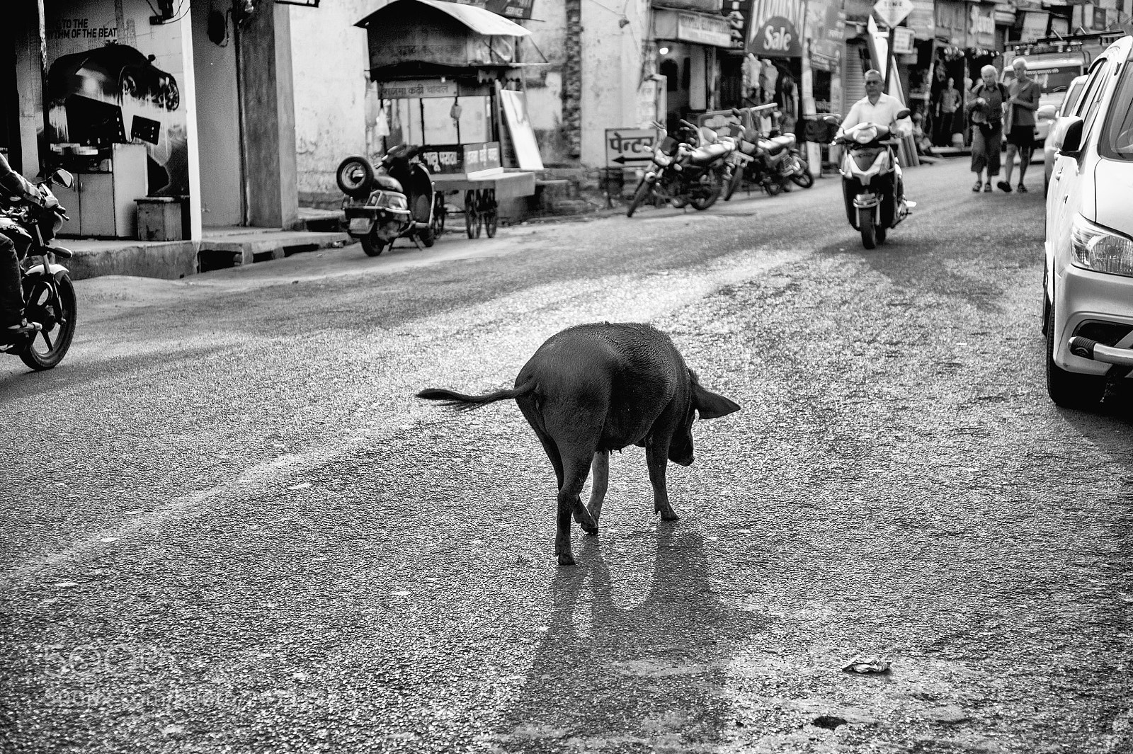 Nikon D700 sample photo. Inde  laissez moi passer ! photography