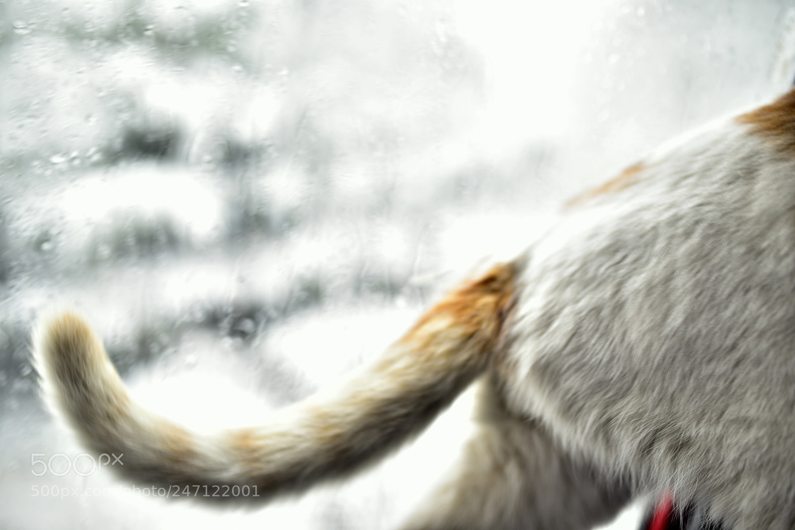 Sigma 35mm F1.4 DG HSM Art sample photo. Dsc photography