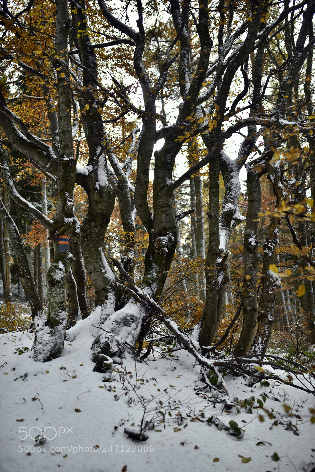 Nikon D750 + Sigma 35mm F1.4 DG HSM Art sample photo. Dsc photography