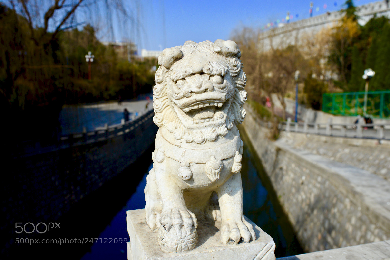 Nikon D610 sample photo. 尴尬而不失礼貌的微笑 photography