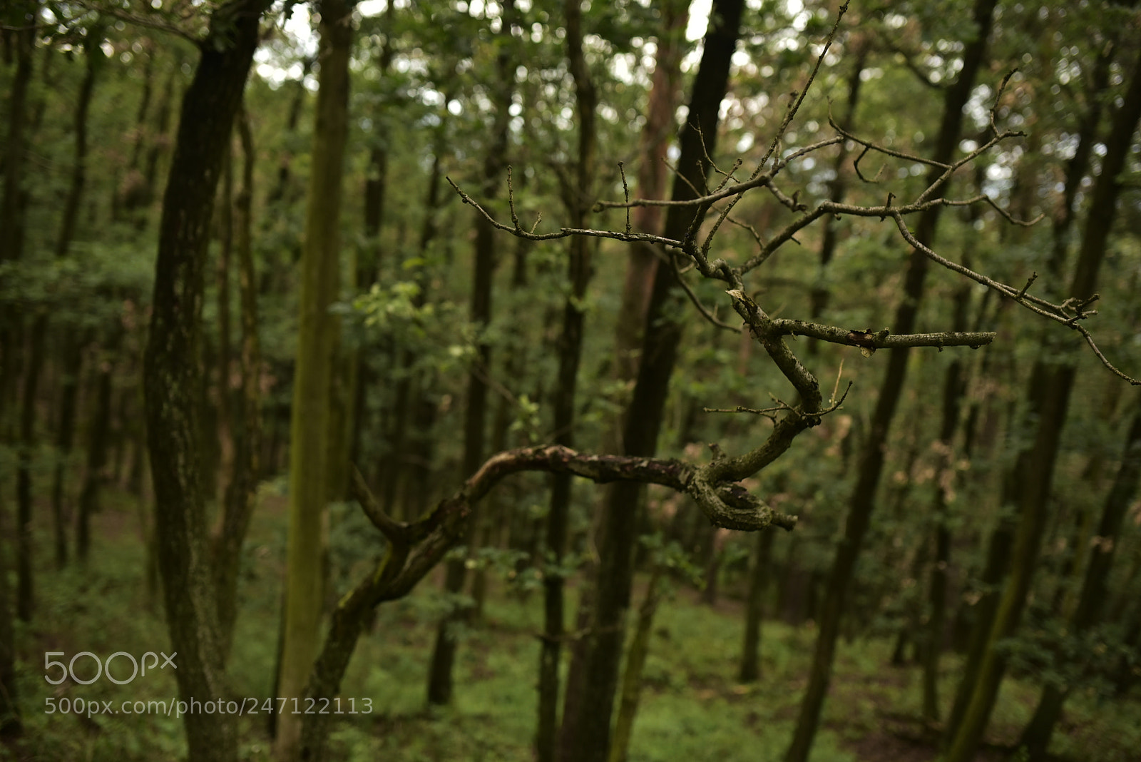 Nikon D750 + Sigma 35mm F1.4 DG HSM Art sample photo. Dsc photography