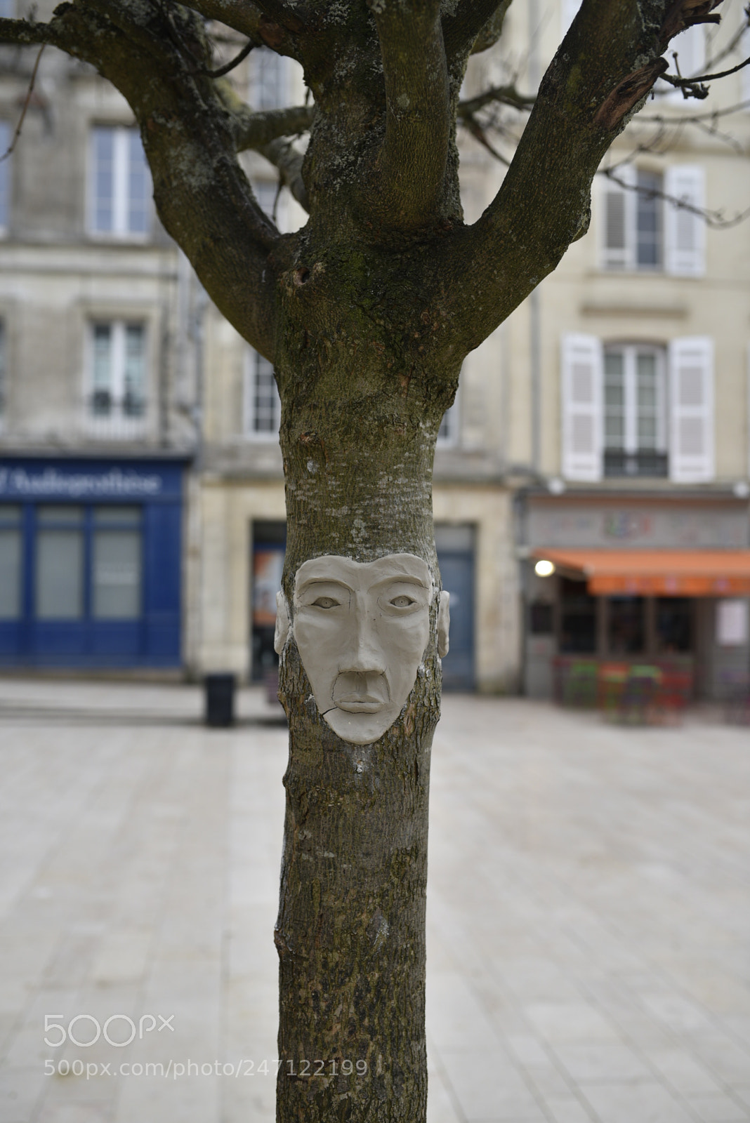 Nikon D750 + Sigma 35mm F1.4 DG HSM Art sample photo. Dsc photography