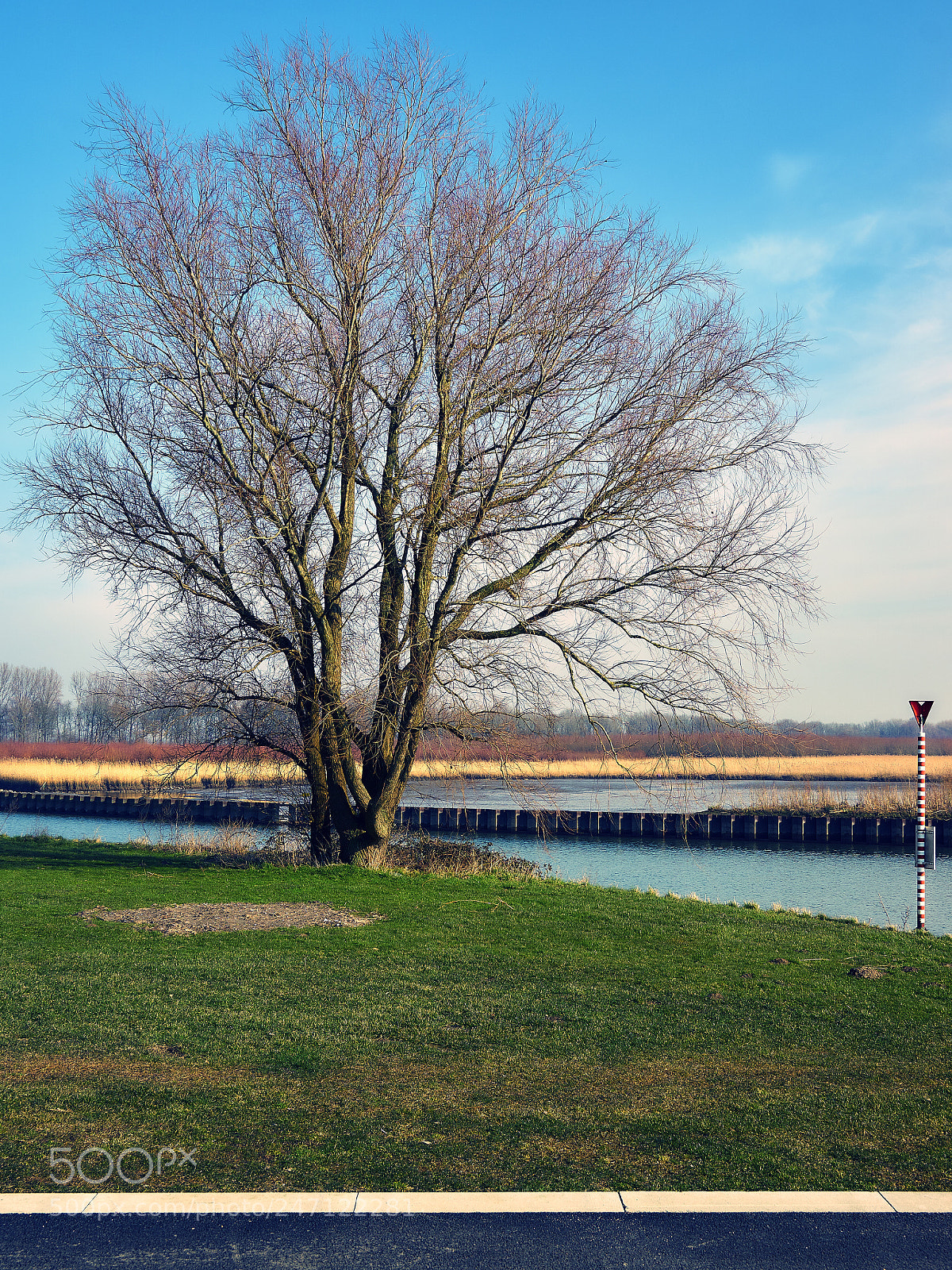 Sony ILCA-77M2 sample photo. Colourful scene photography