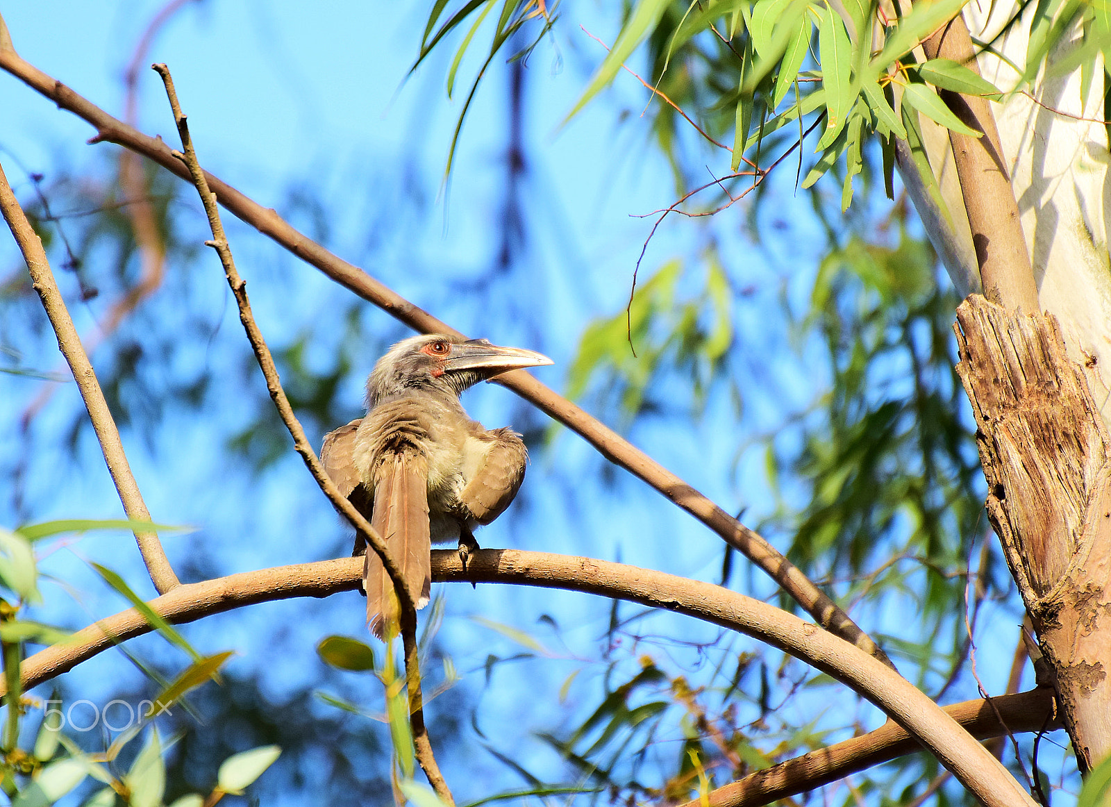 Nikon D5300 sample photo. Dsc photography