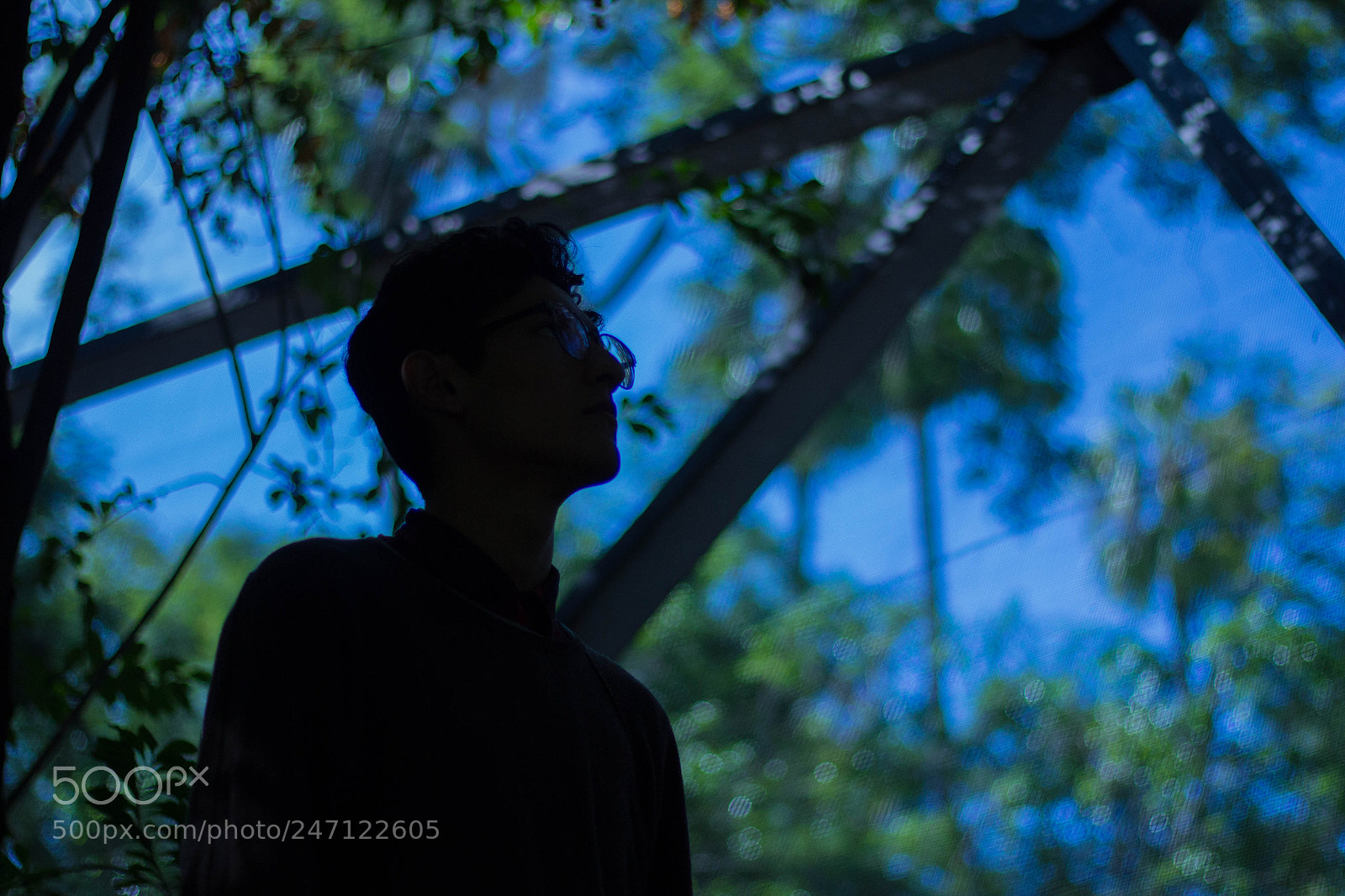 Canon EOS 60D sample photo. Untitled photography