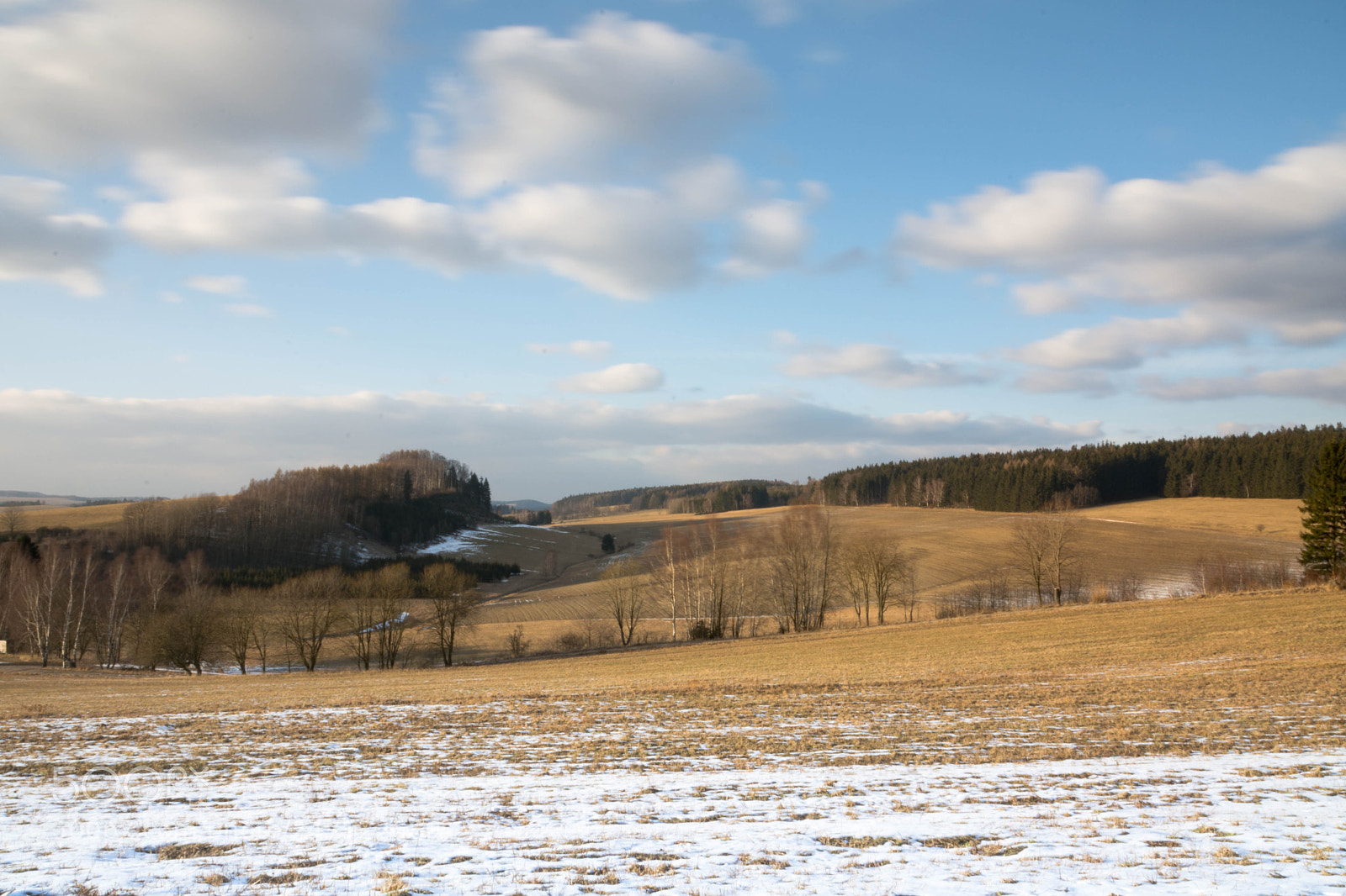 Nikon D7200 sample photo. Fields photography