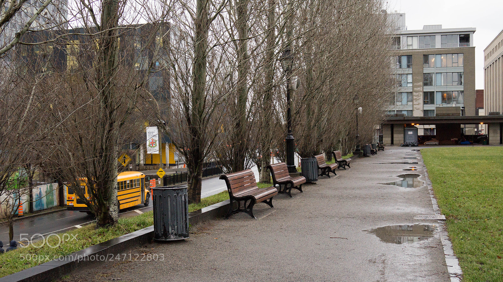 Sony Alpha a3500 sample photo. Montreal photography