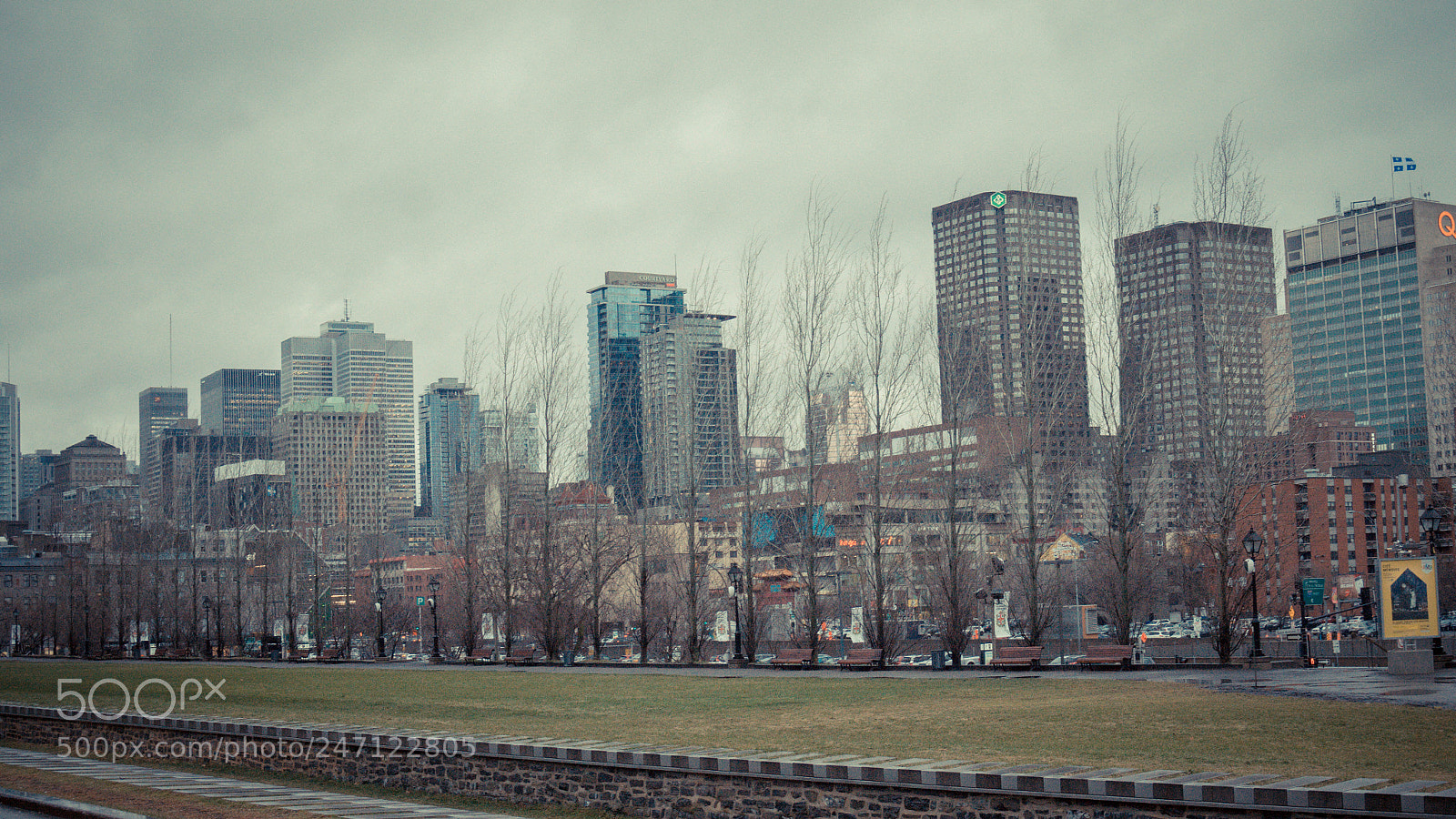 Sony Alpha a3500 sample photo. Montreal photography