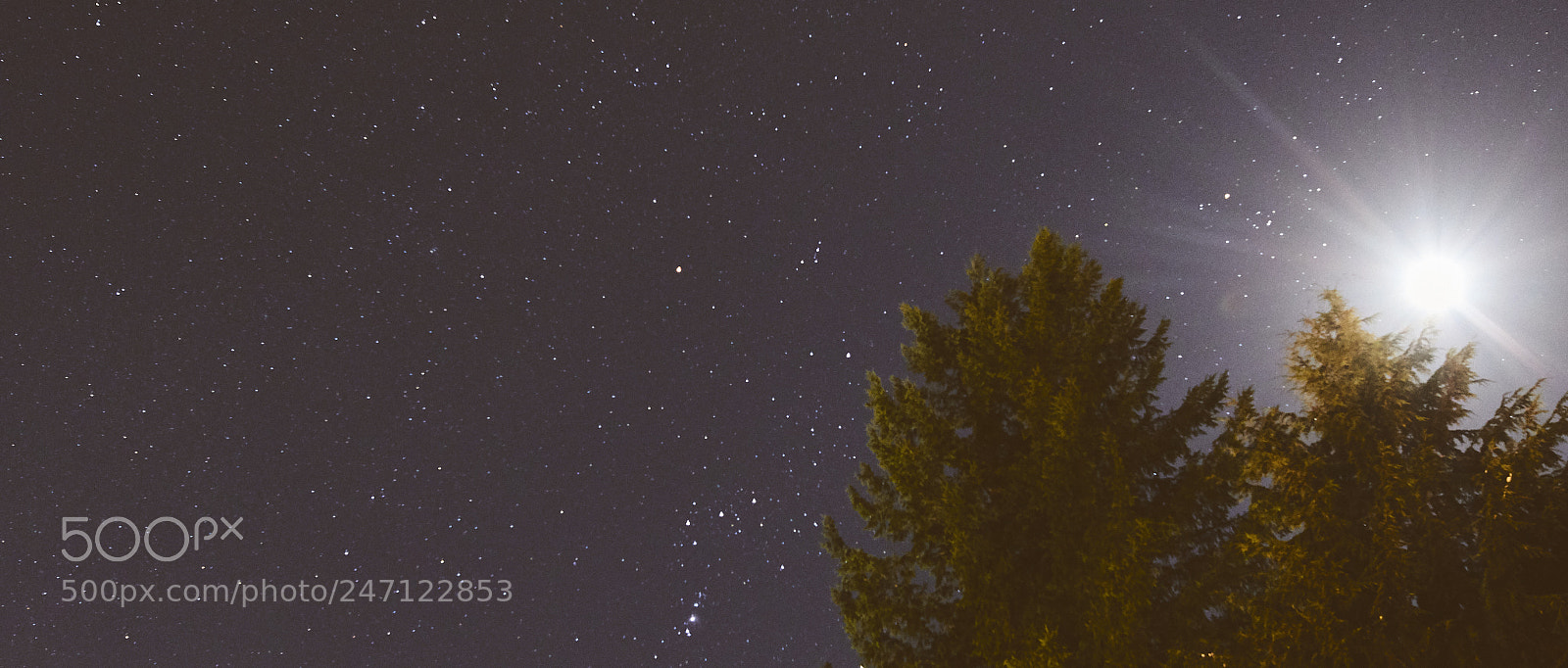 Canon EOS 7D Mark II sample photo. Always in amazement photography