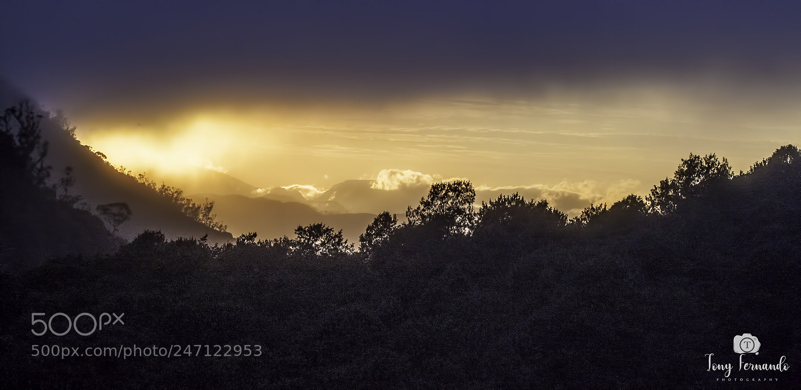 Canon EOS 500D (EOS Rebel T1i / EOS Kiss X3) sample photo. Sunset at nuwara eliya photography