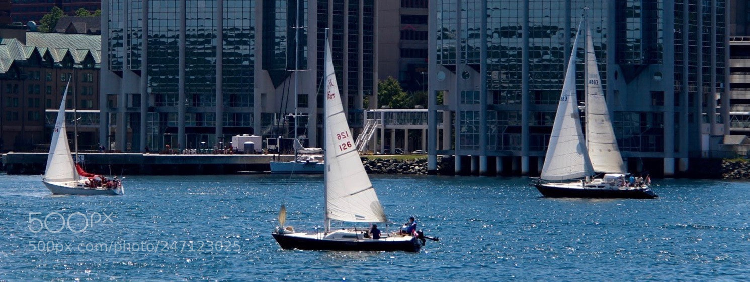 Canon EOS 700D (EOS Rebel T5i / EOS Kiss X7i) sample photo. Three sailing boats photography