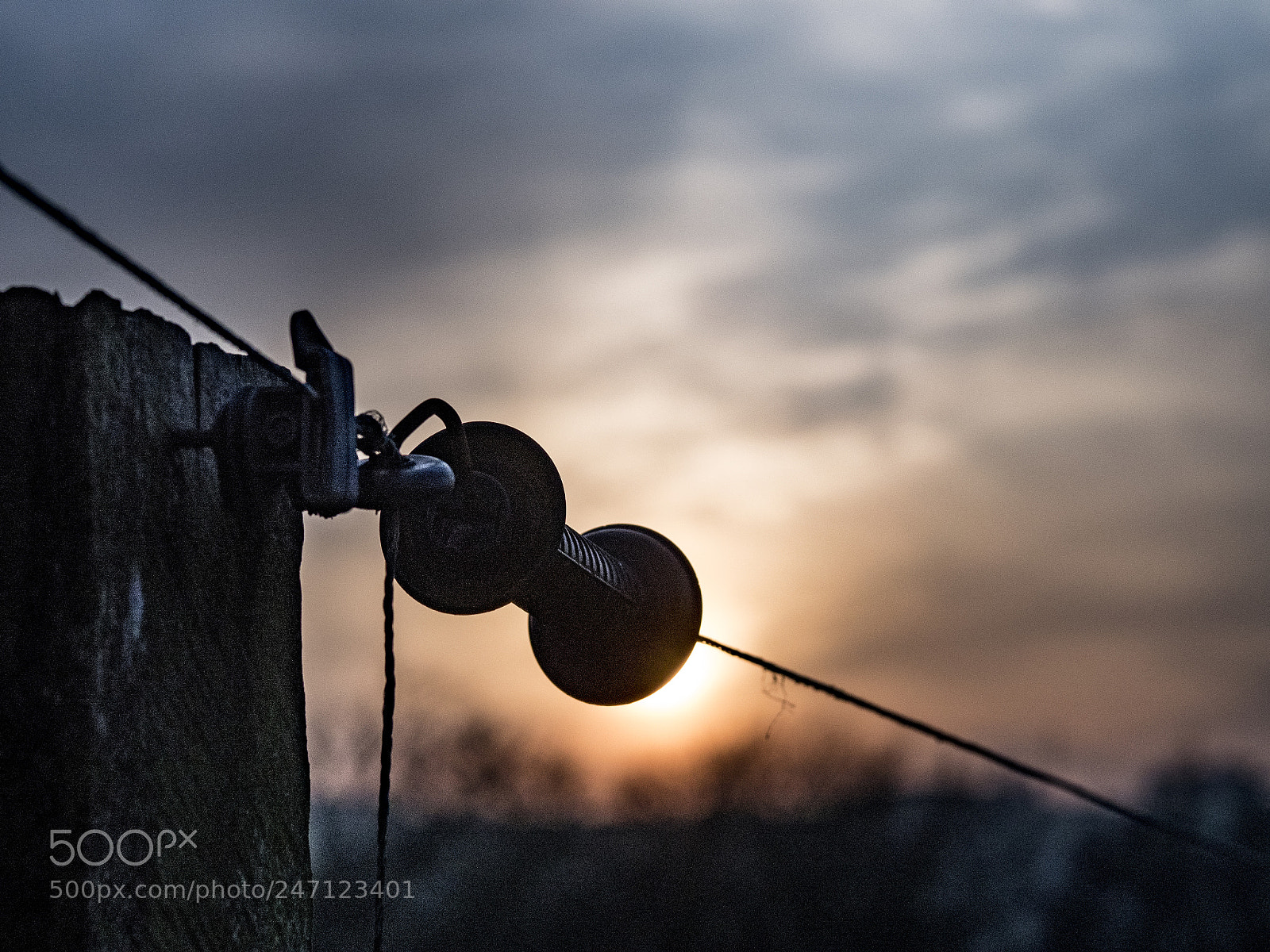 Olympus OM-D E-M5 II sample photo. Sunset on the paddock photography
