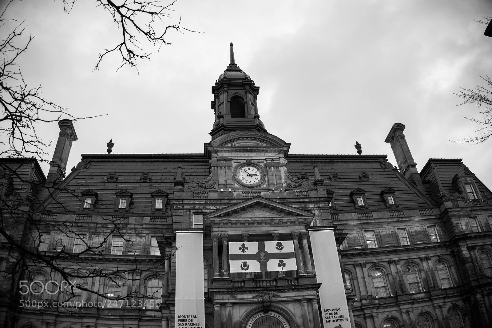 Sony Alpha a3500 sample photo. Montreal photography