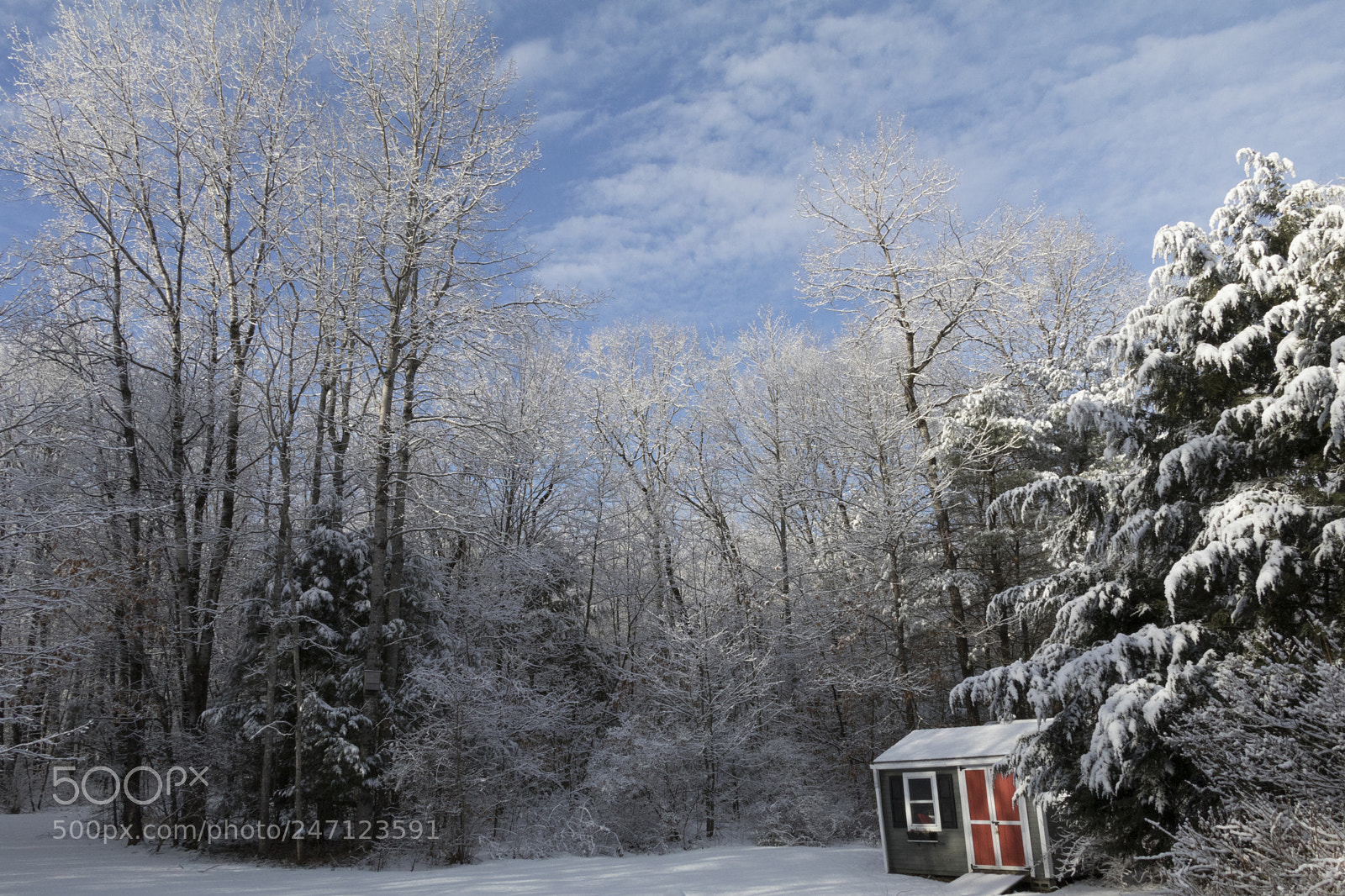 Canon EOS 80D sample photo. Colors of new england photography