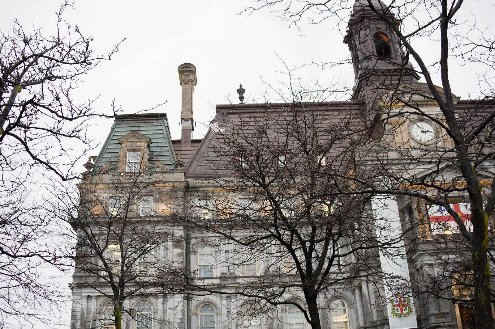Sony Alpha a3500 sample photo. Montreal photography