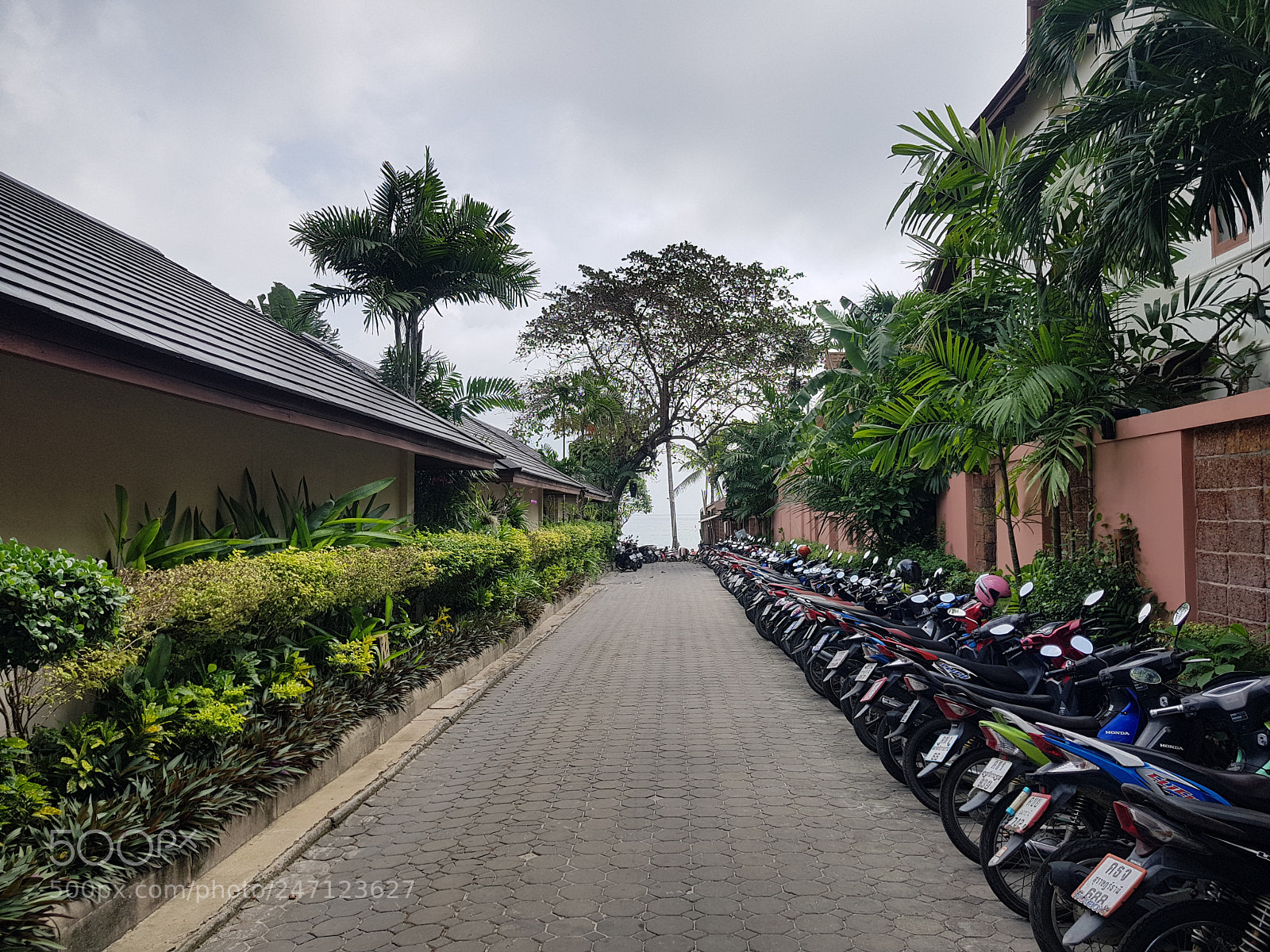 Samsung Galaxy S8+ sample photo. Way to the beach photography