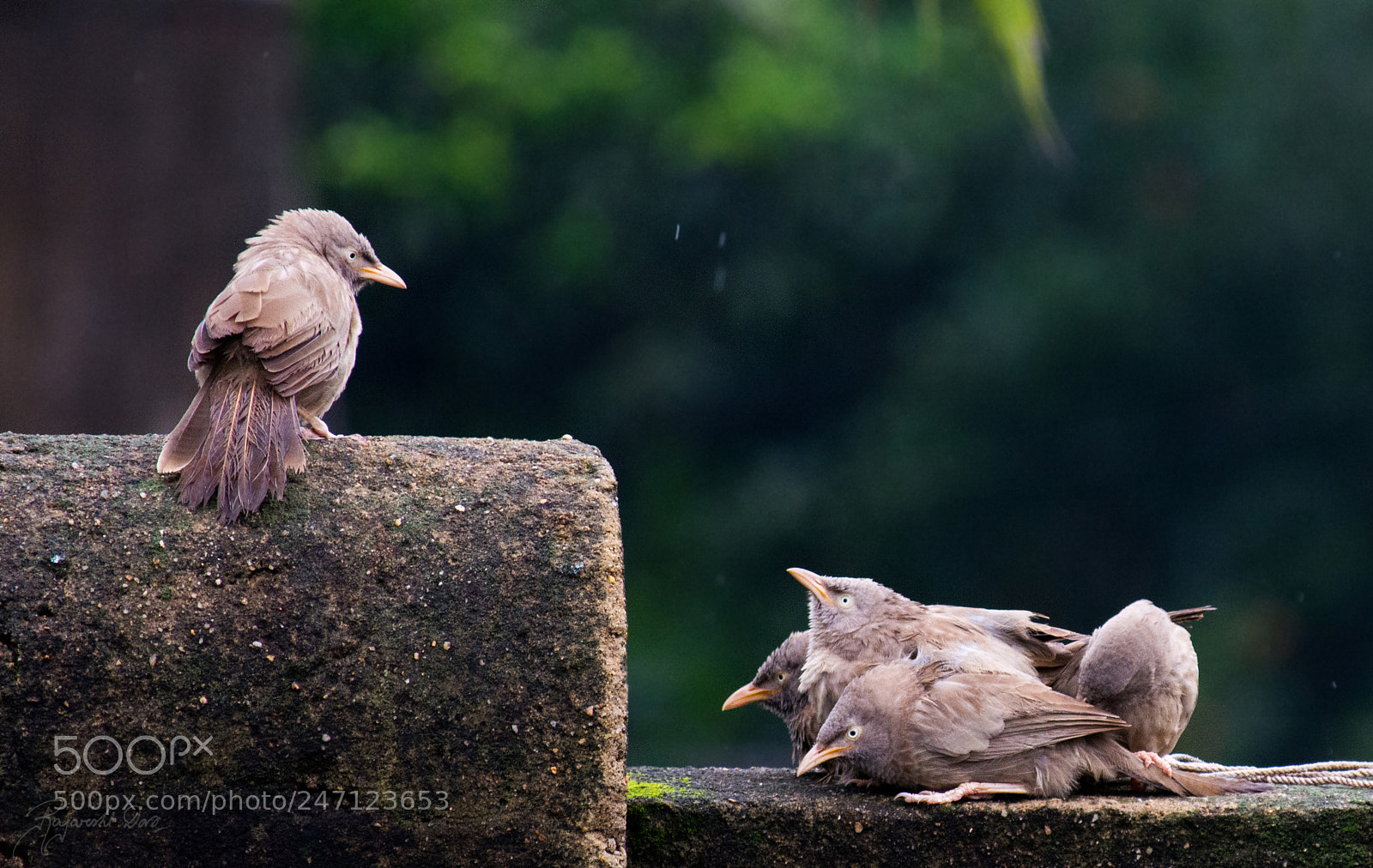 Nikon D5200 sample photo. Teacher and students photography
