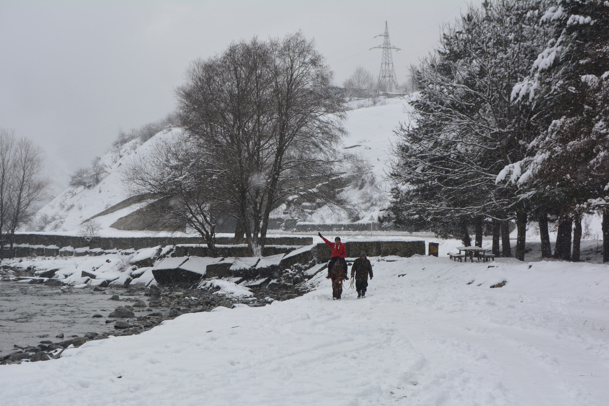 Nikon D5200 sample photo