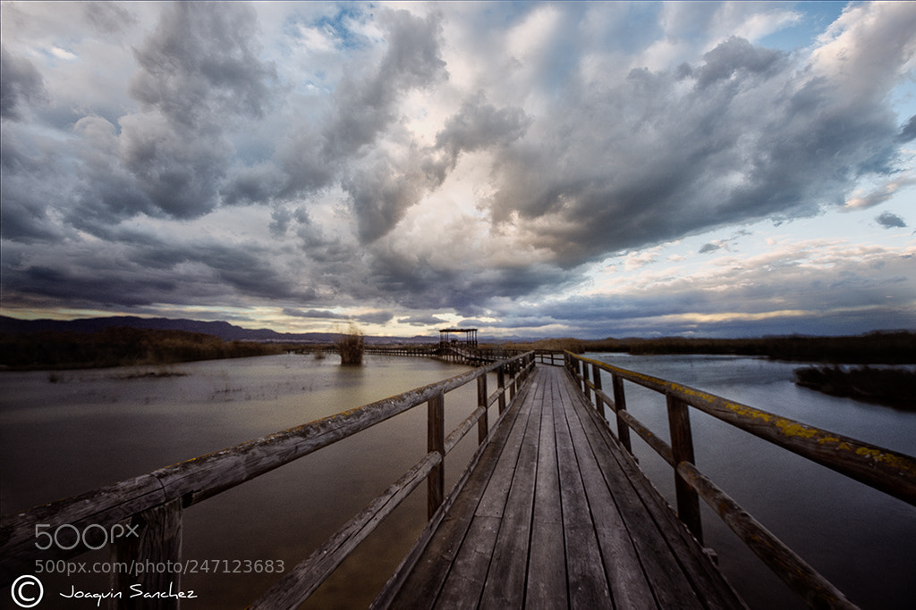 Nikon D800 sample photo. Atardecer photography
