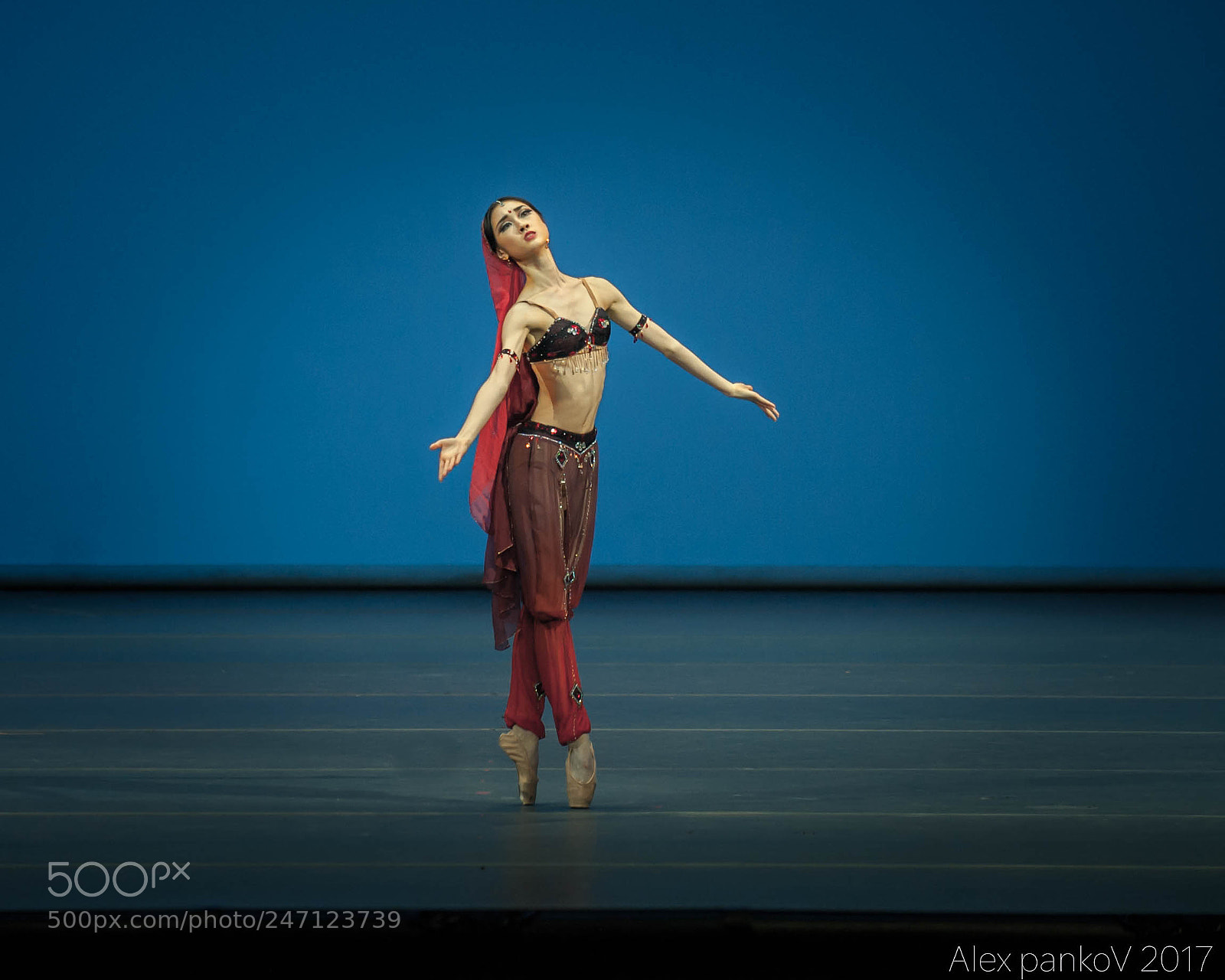 Nikon D3 sample photo. La bayadere photography