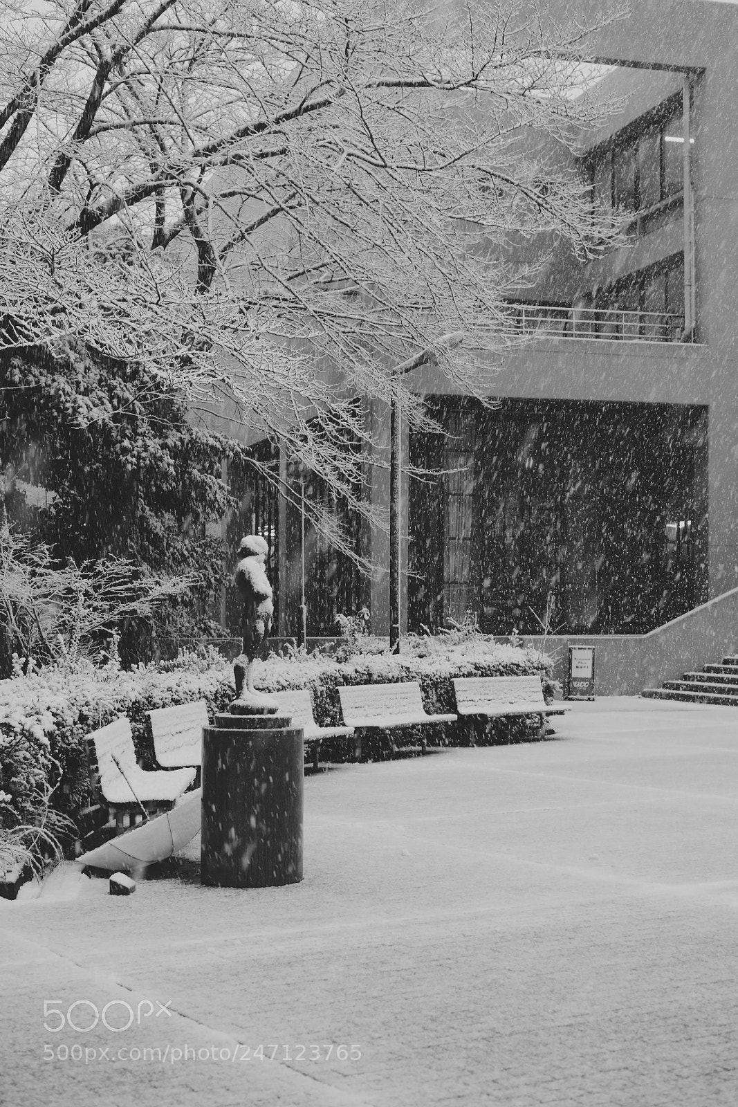 Fujifilm X-E2 sample photo. Snow in tsukuba photography